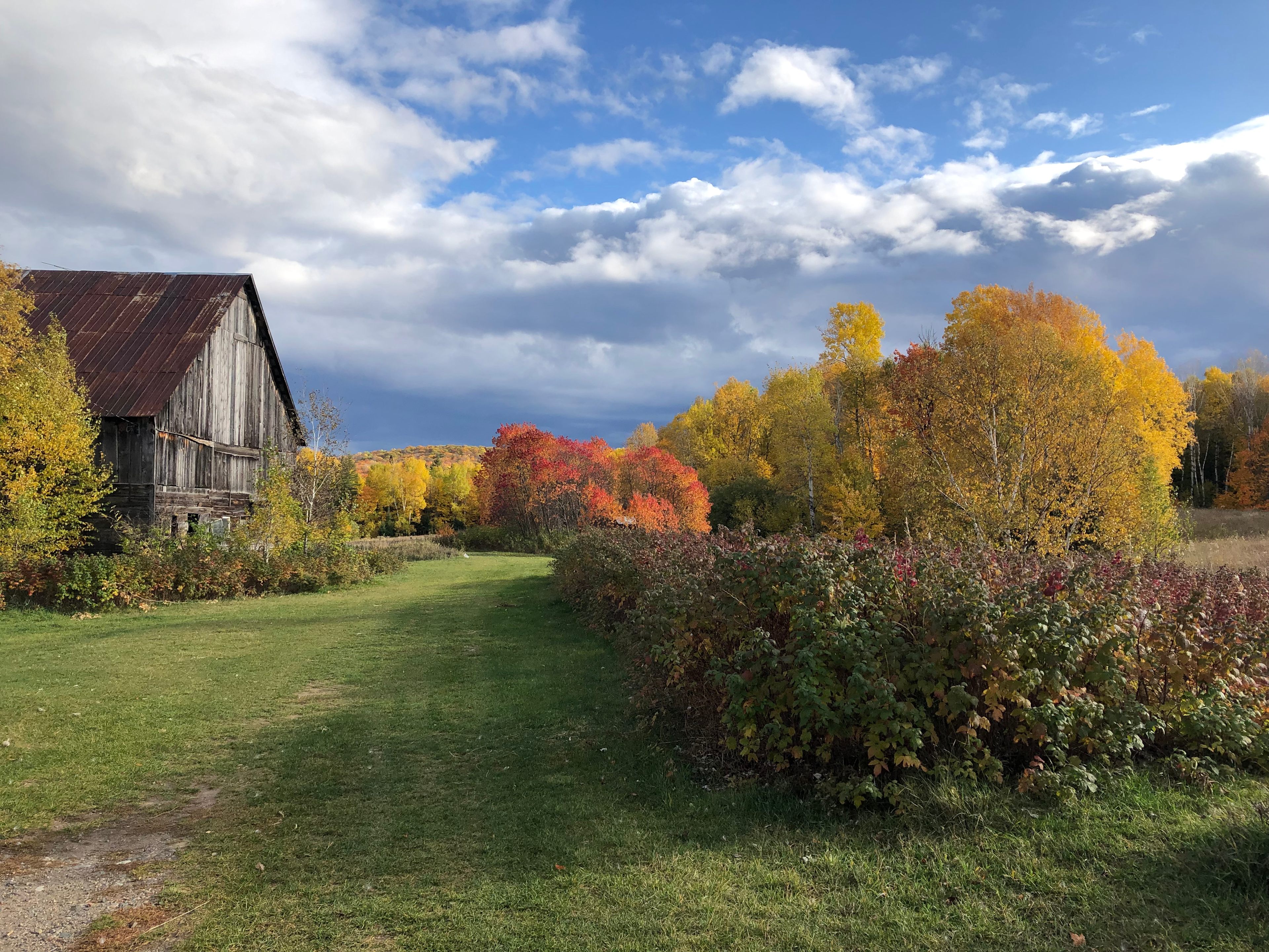 Coyote Tales Farm Studios