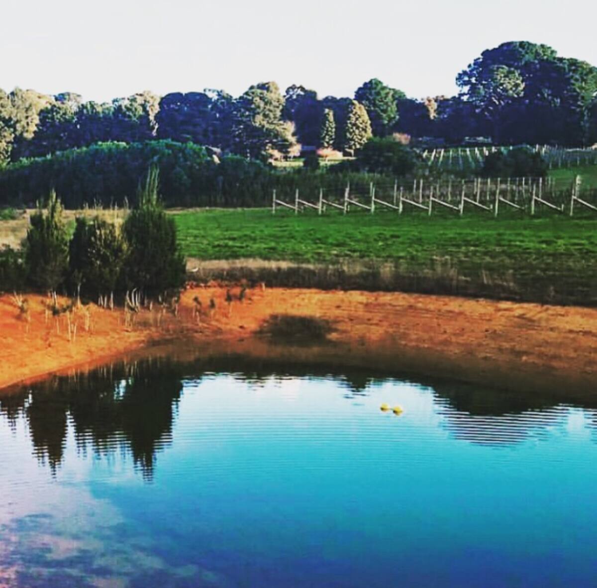 Tussie Mussie Vineyard Retreat