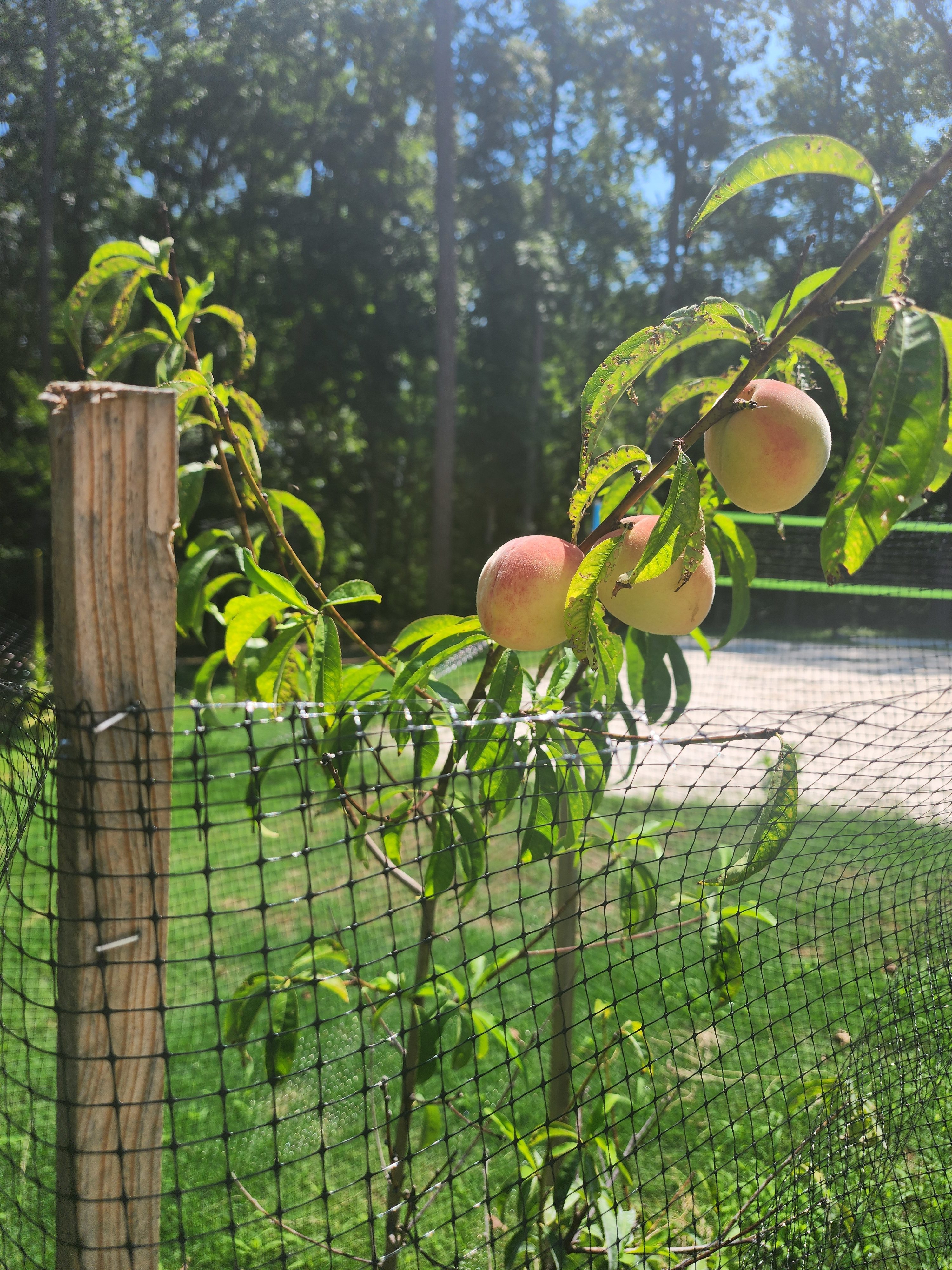 ATL OASIS RV Parking & Campgrounds