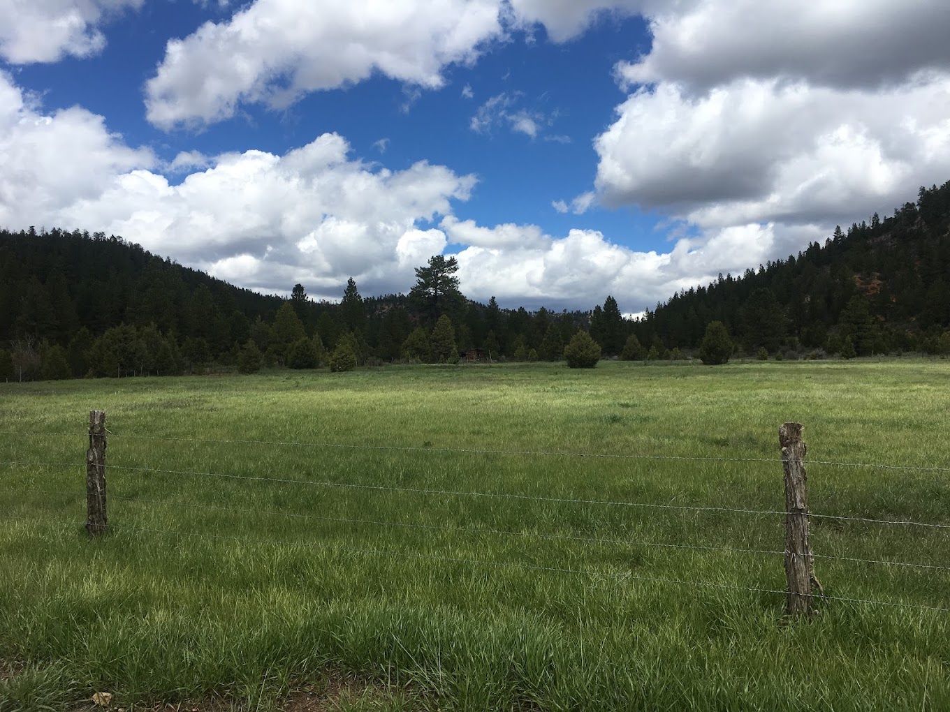 Whispering Pines Glamping Resort