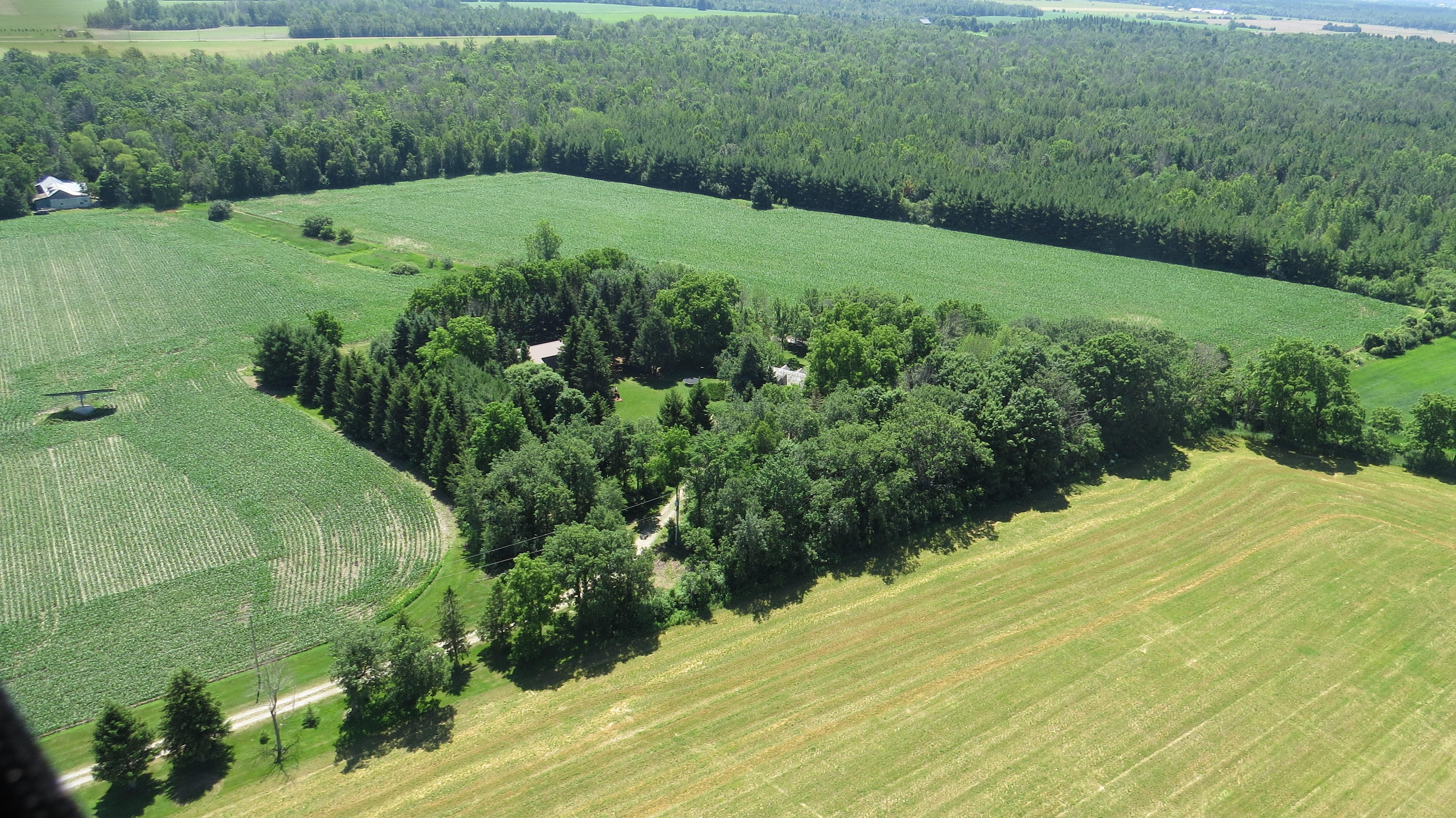 White Pine Forest Farm