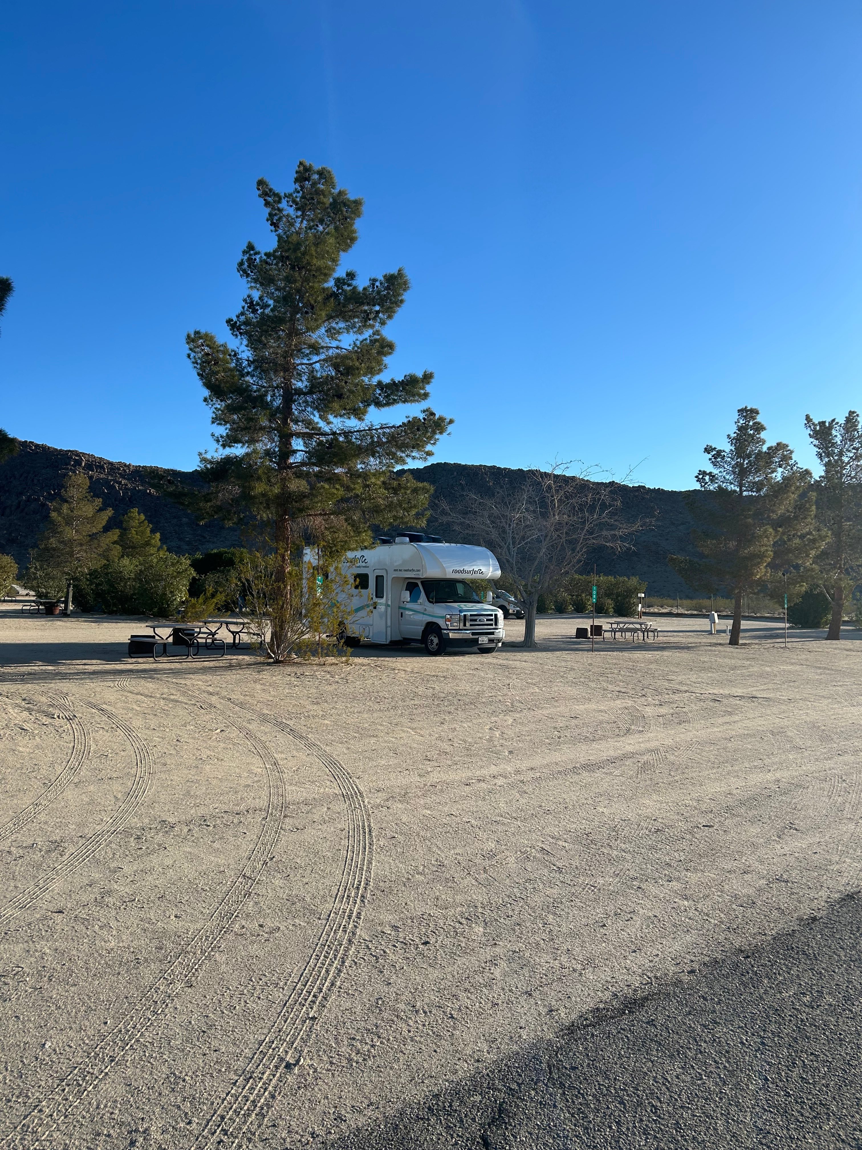 Joshua Tree Lake RV & Campground