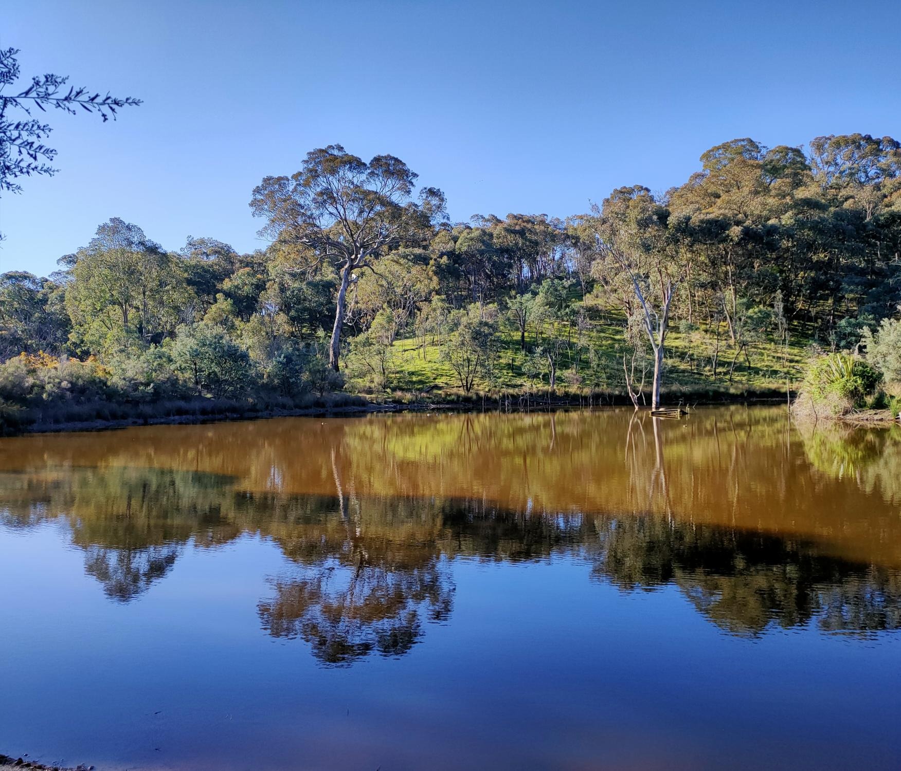 Stunning large dam for swimming and water fun!