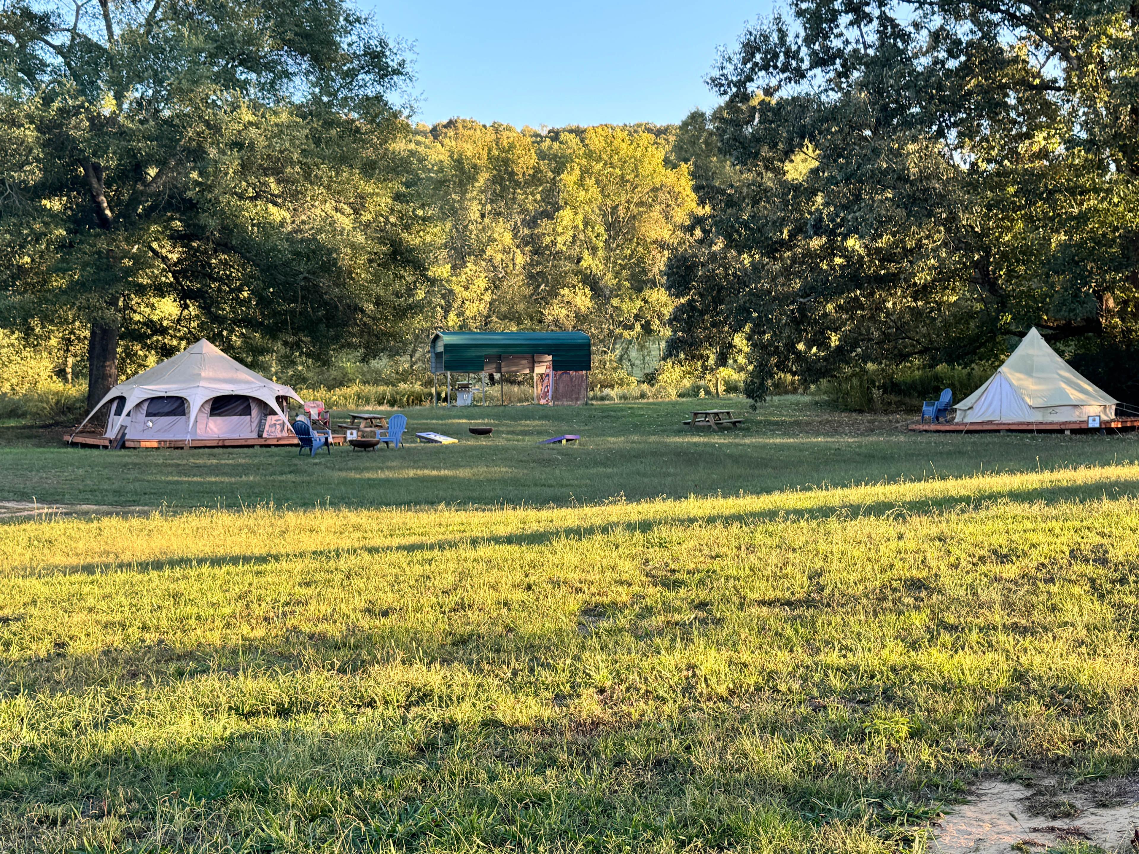 Untamed Acres