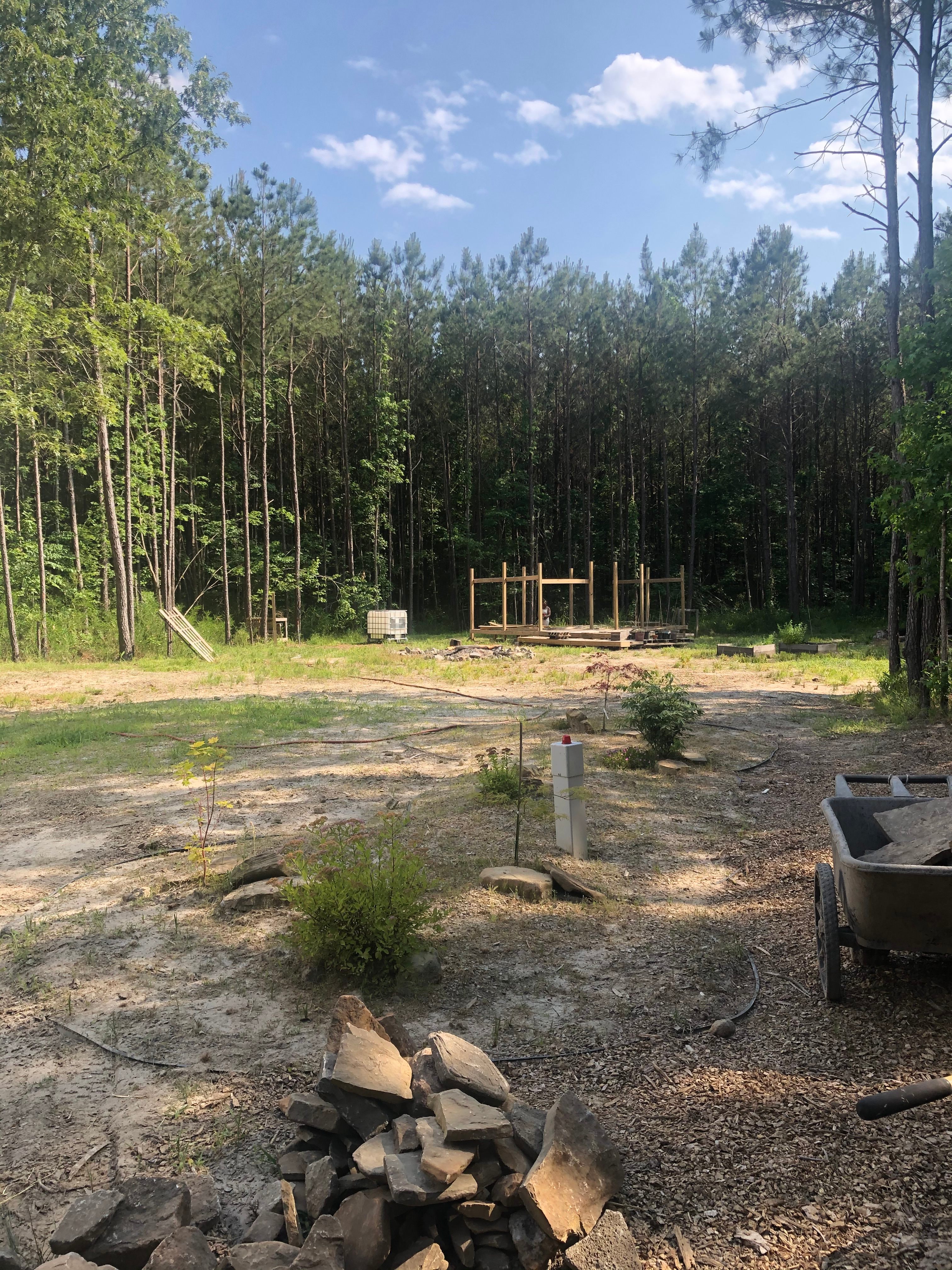 Lovely Nature And Stay
