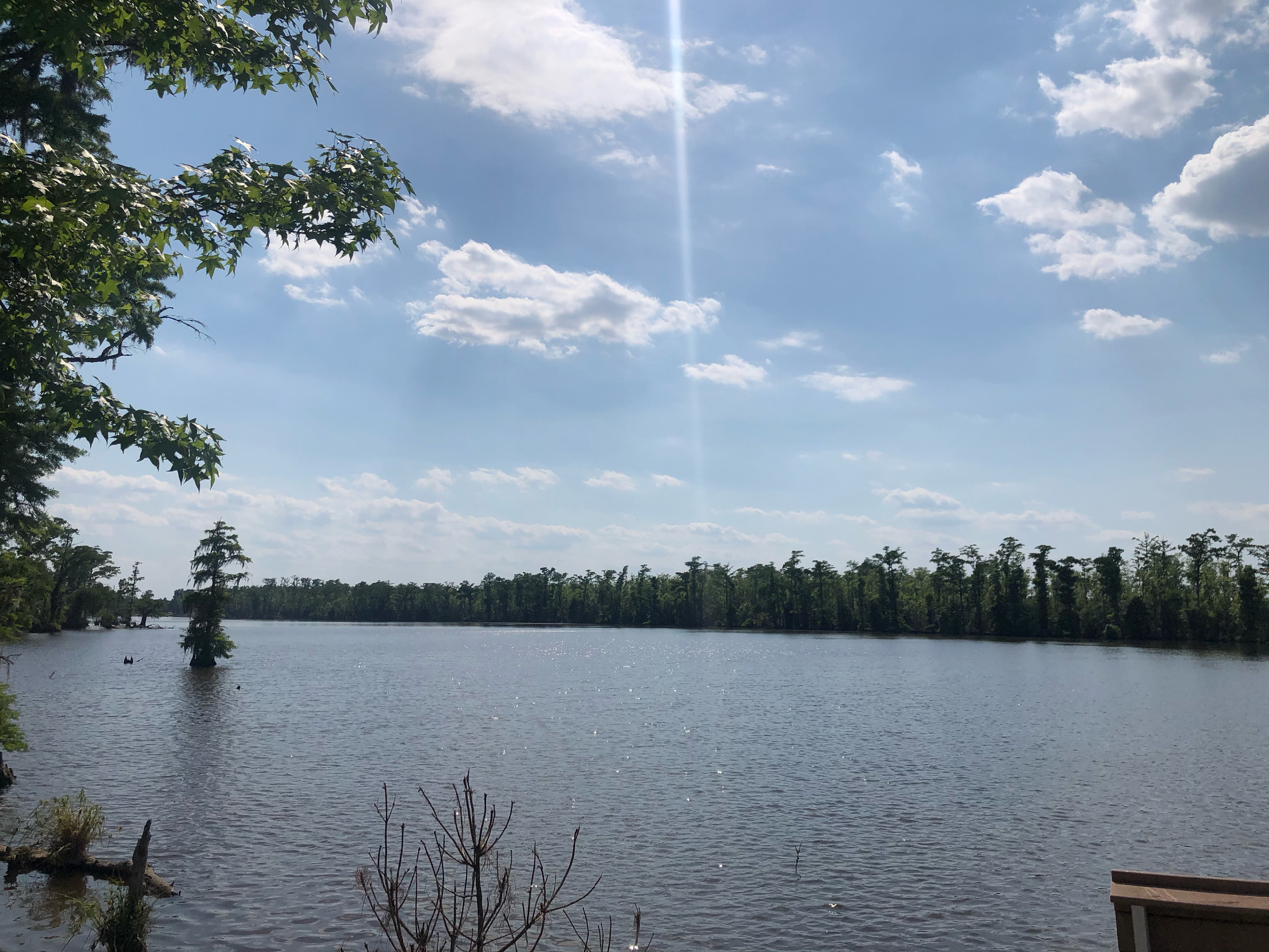 Lovely Nature And Stay