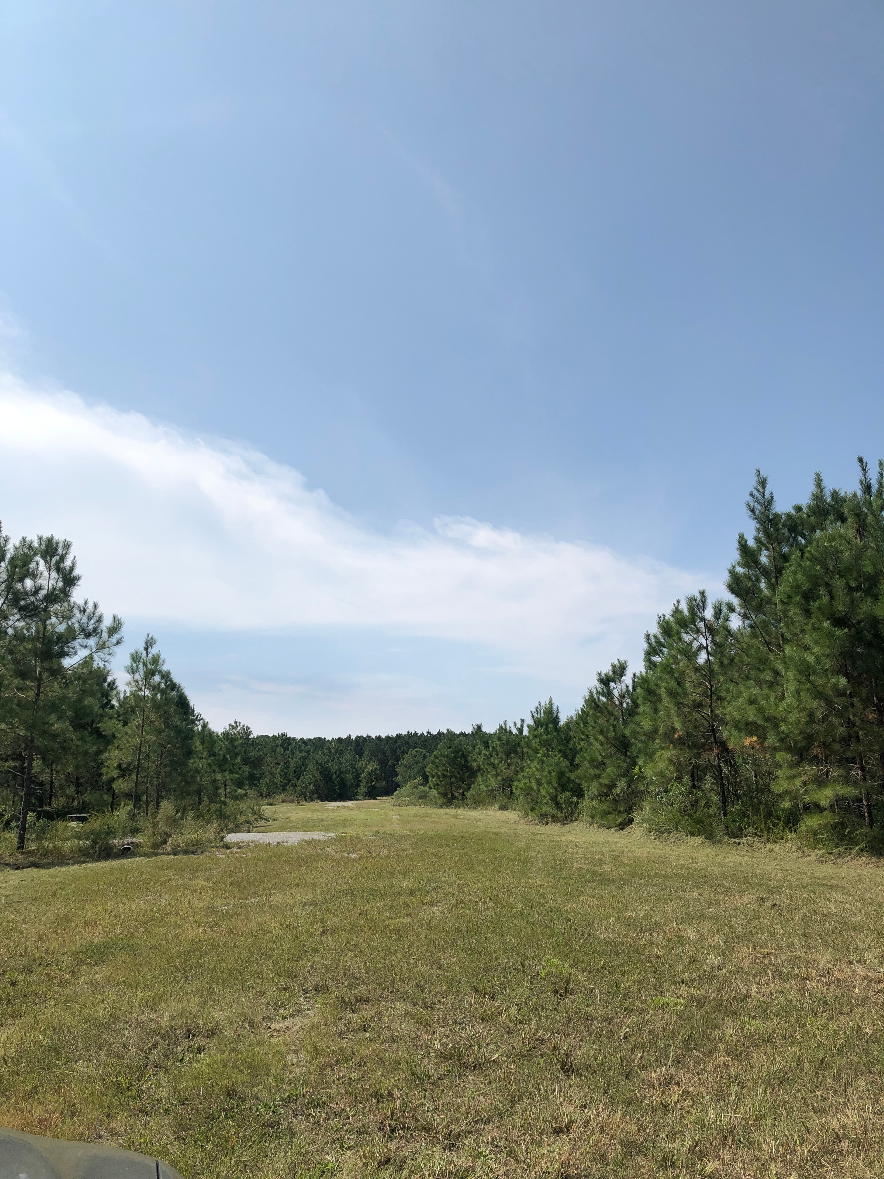 Open Field