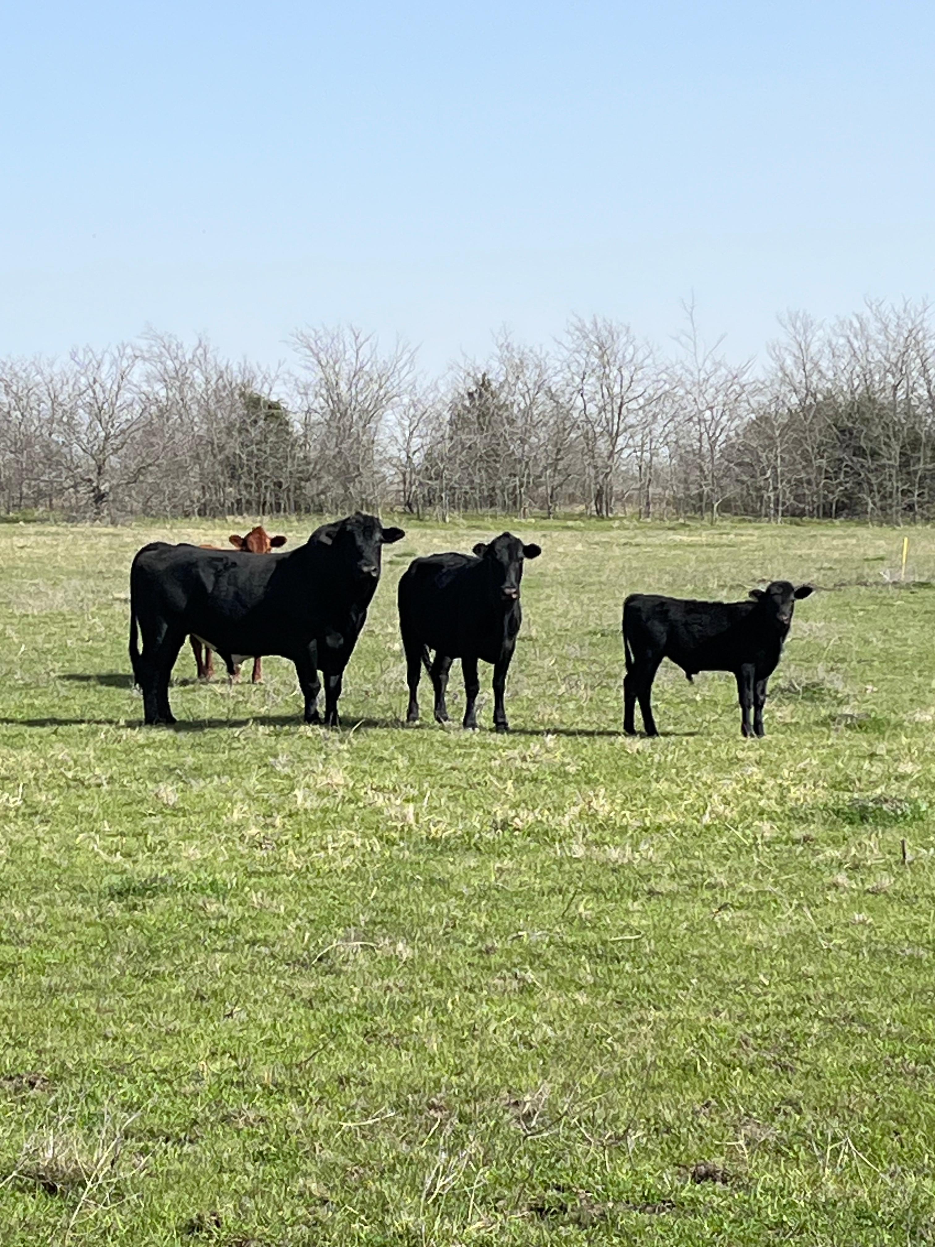 Sunset Ridge Campground