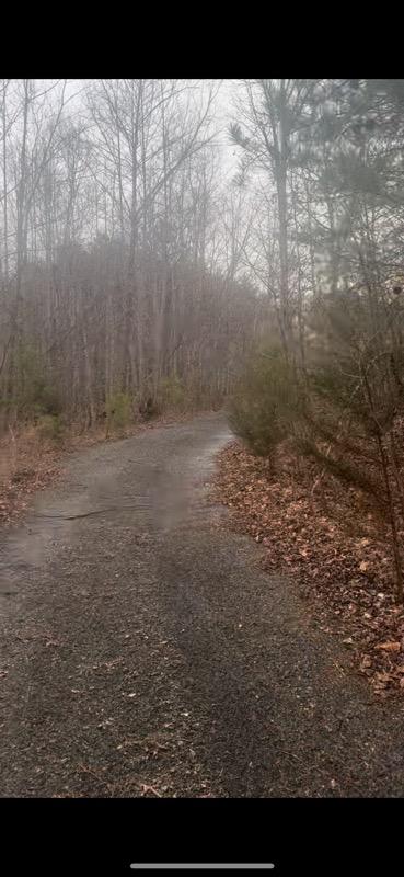 Carter’s Ancestral Acres