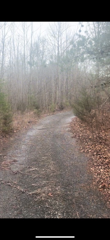 Carter’s Ancestral Acres