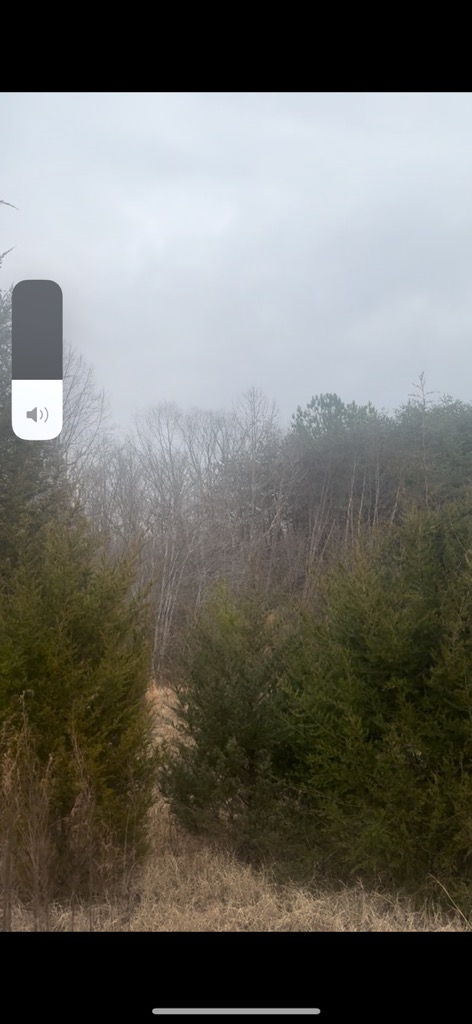 Carter’s Ancestral Acres