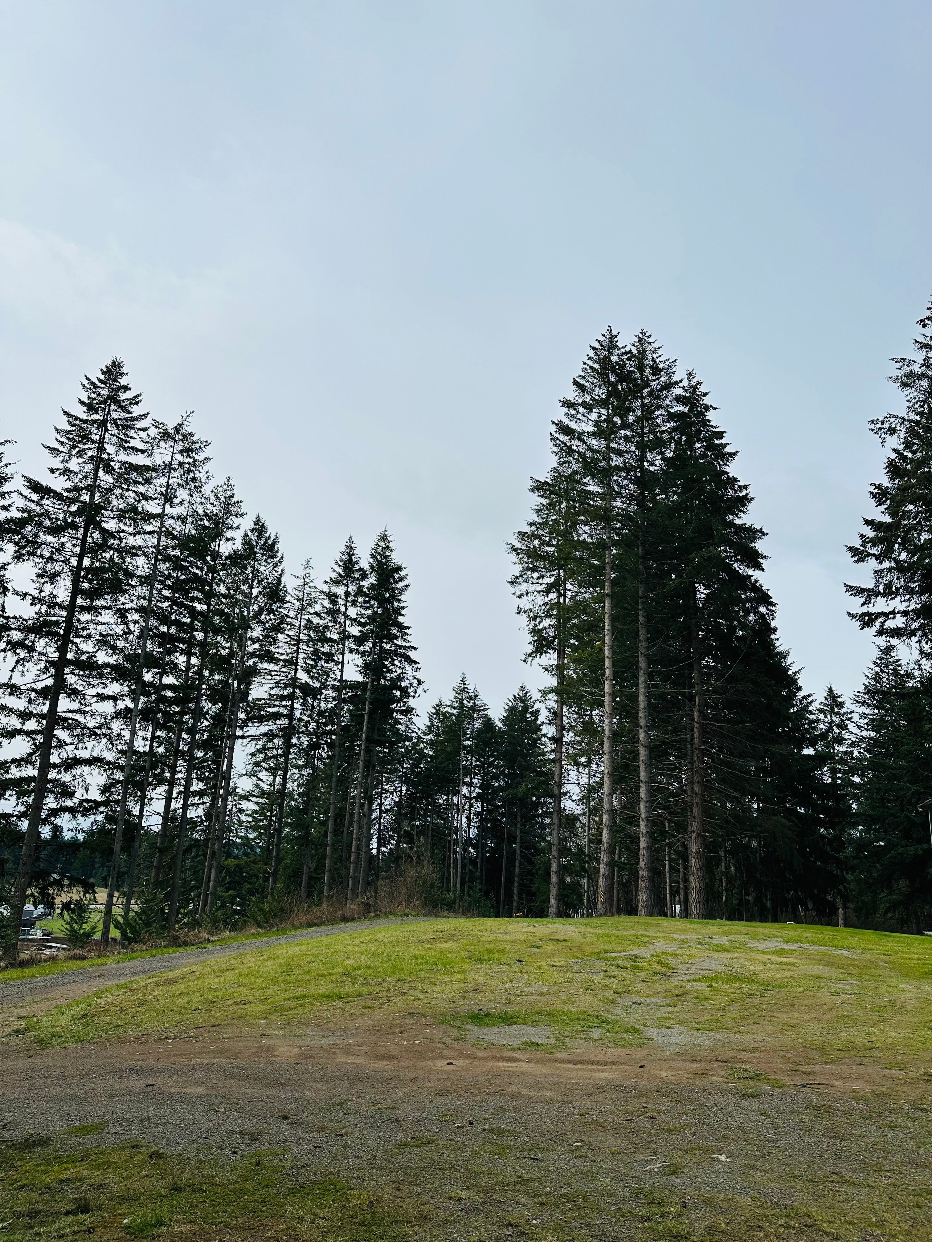 Top of property with driveway on left 