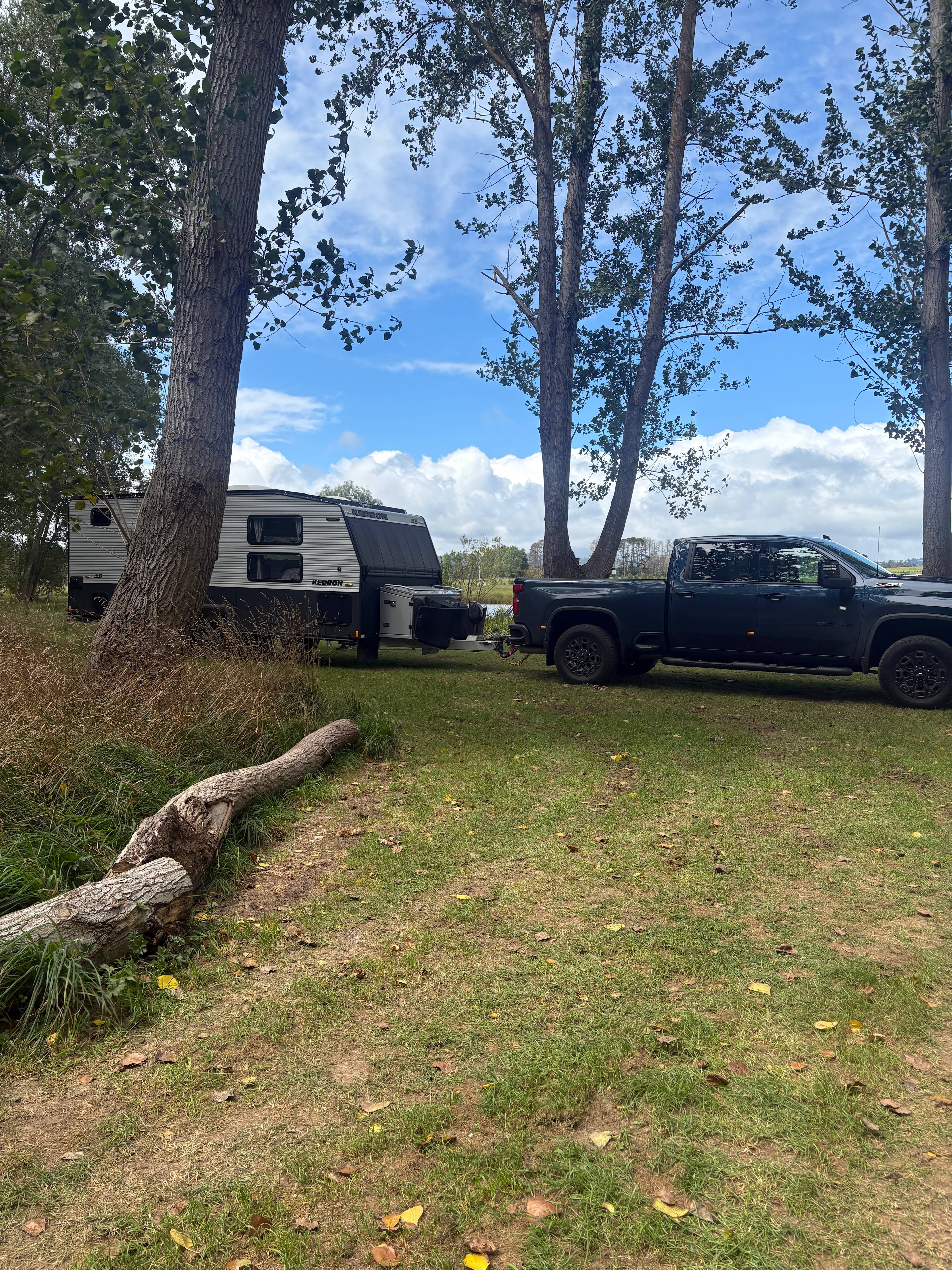 Wings of the Carribee