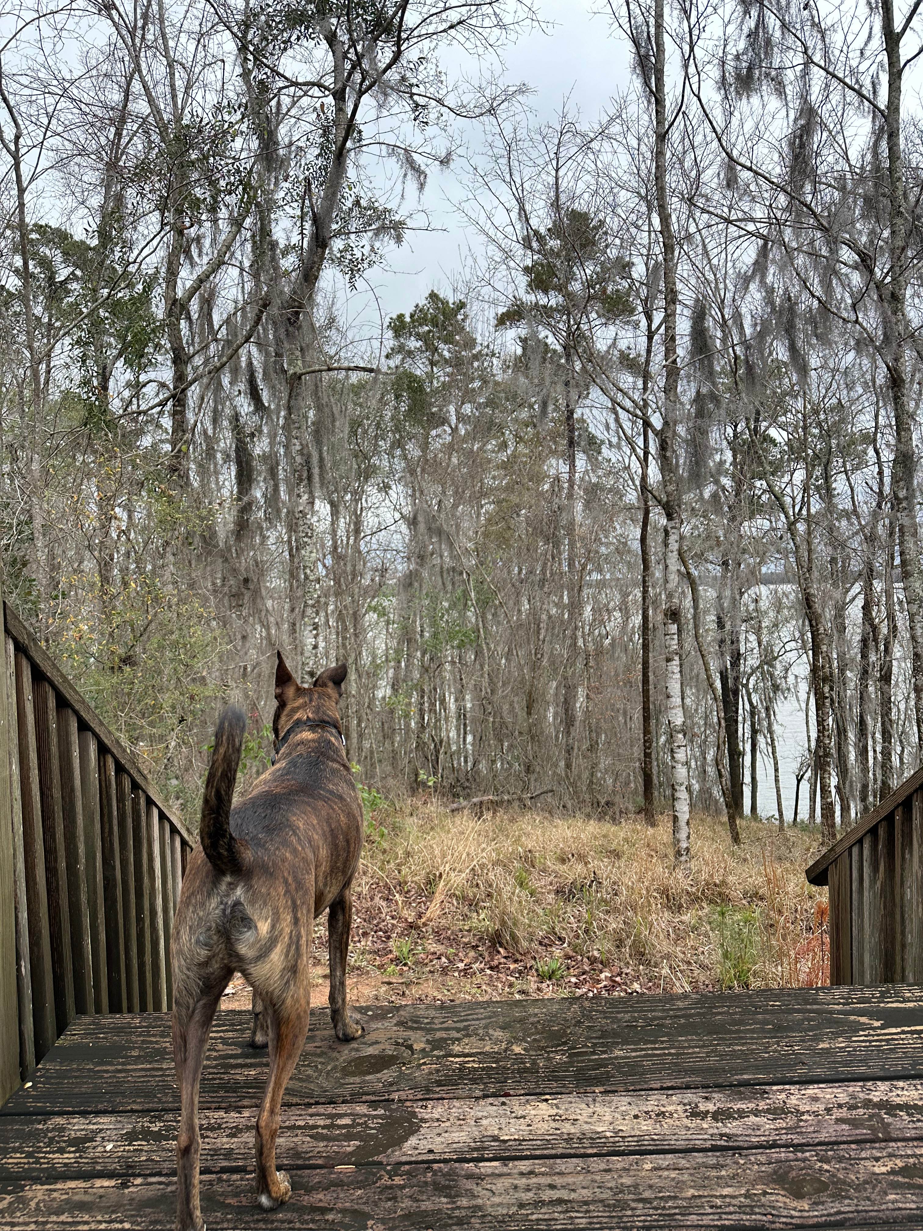 Twin Pines Lakeside RV