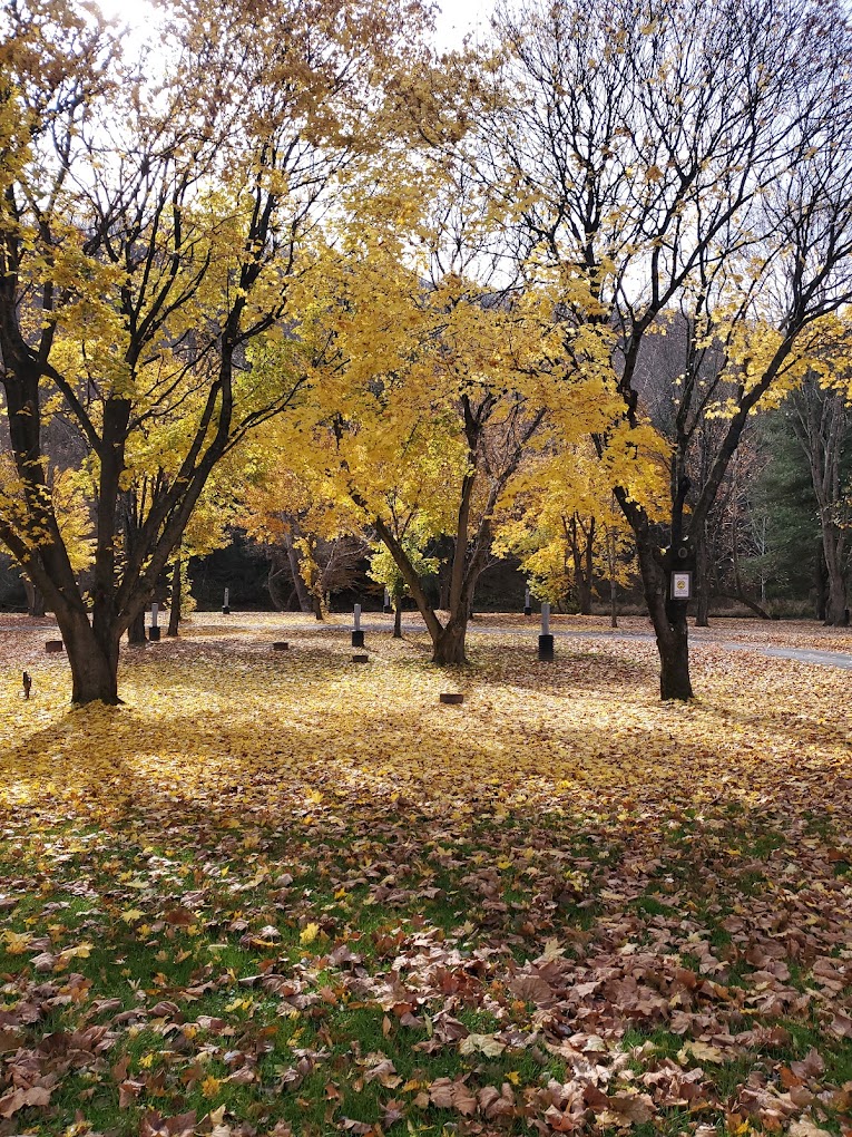 Crooked Creek Campground