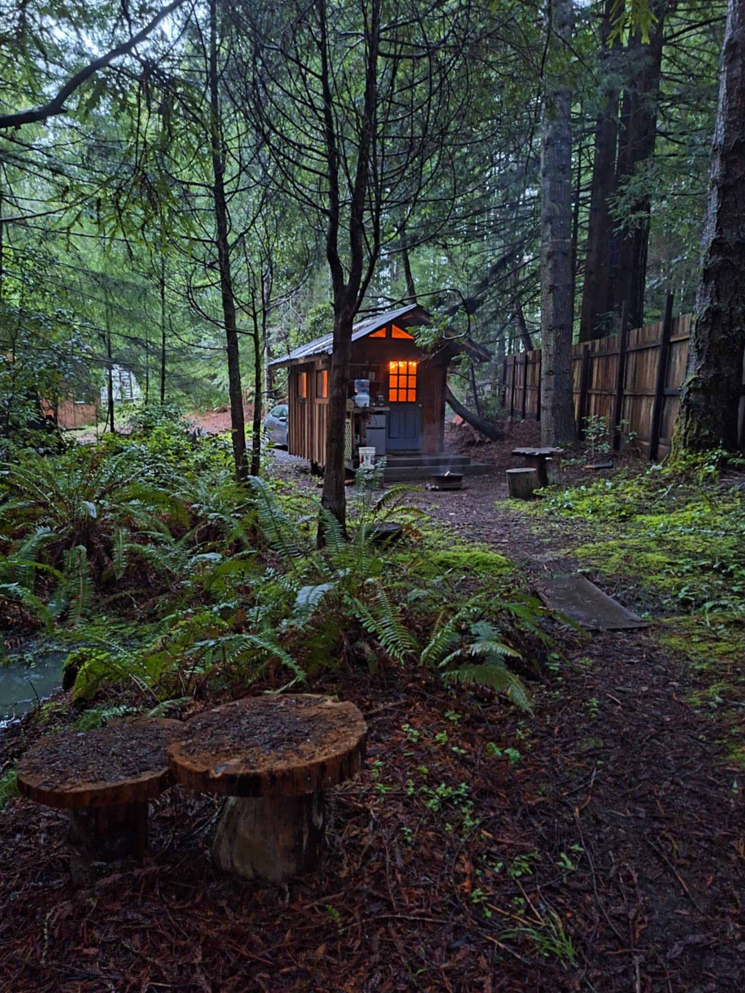 Mushroom Cabin