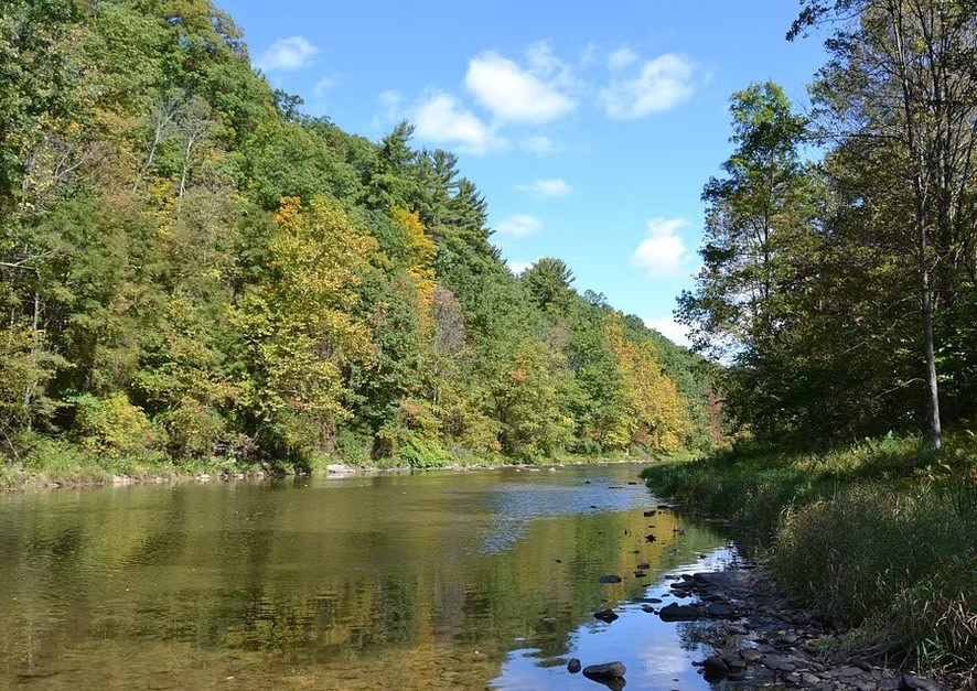 Lick Run Lodge