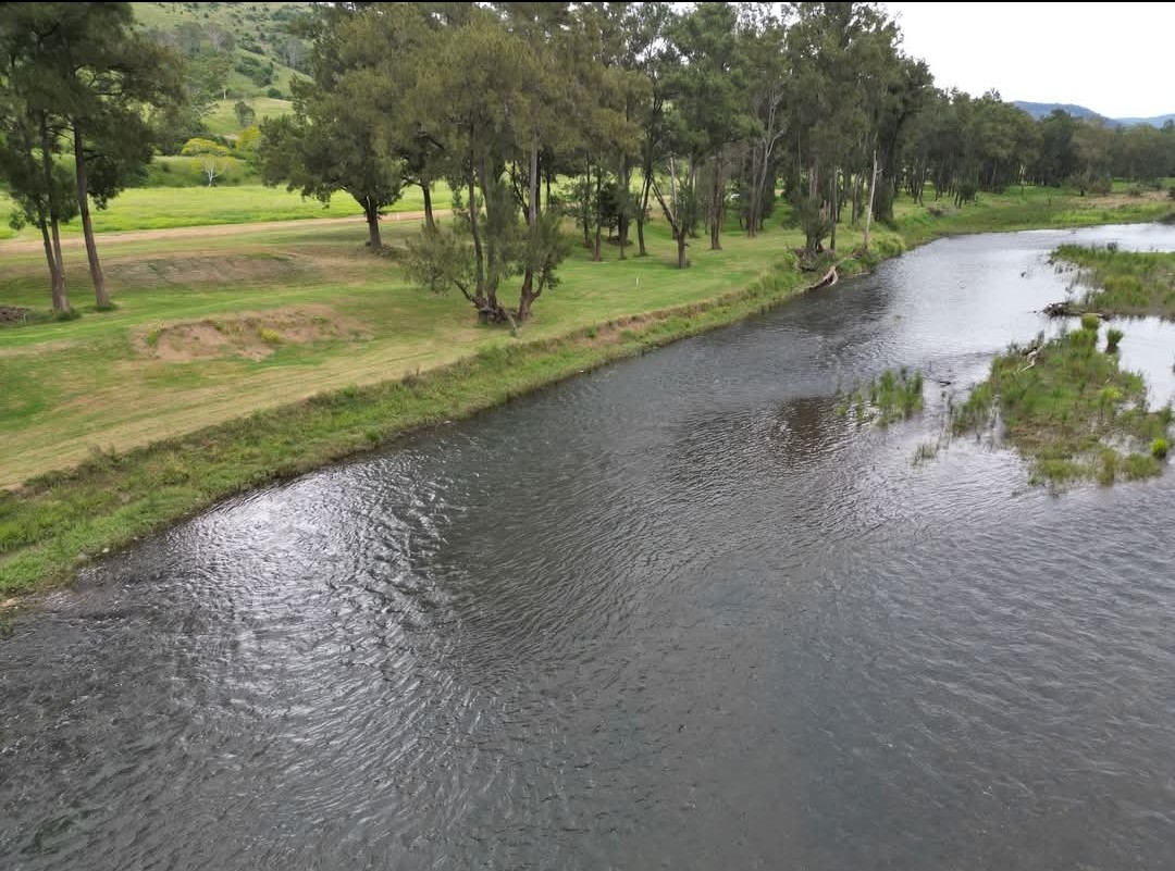 Mountainview Long Flat