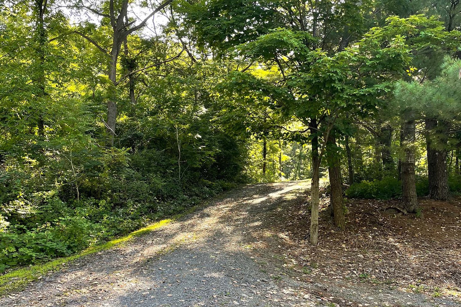 Smith Memorial Park Campground