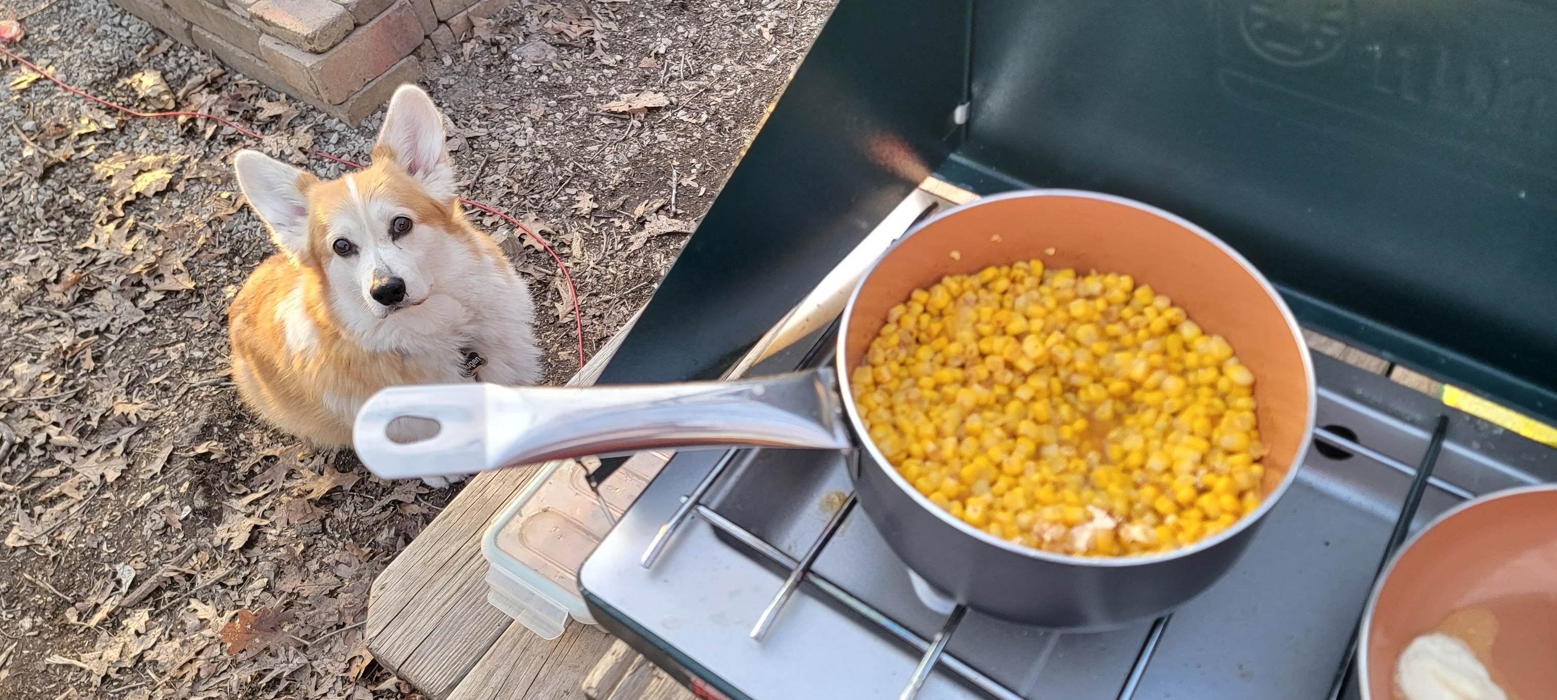 Tiny off grid A frame in the woods