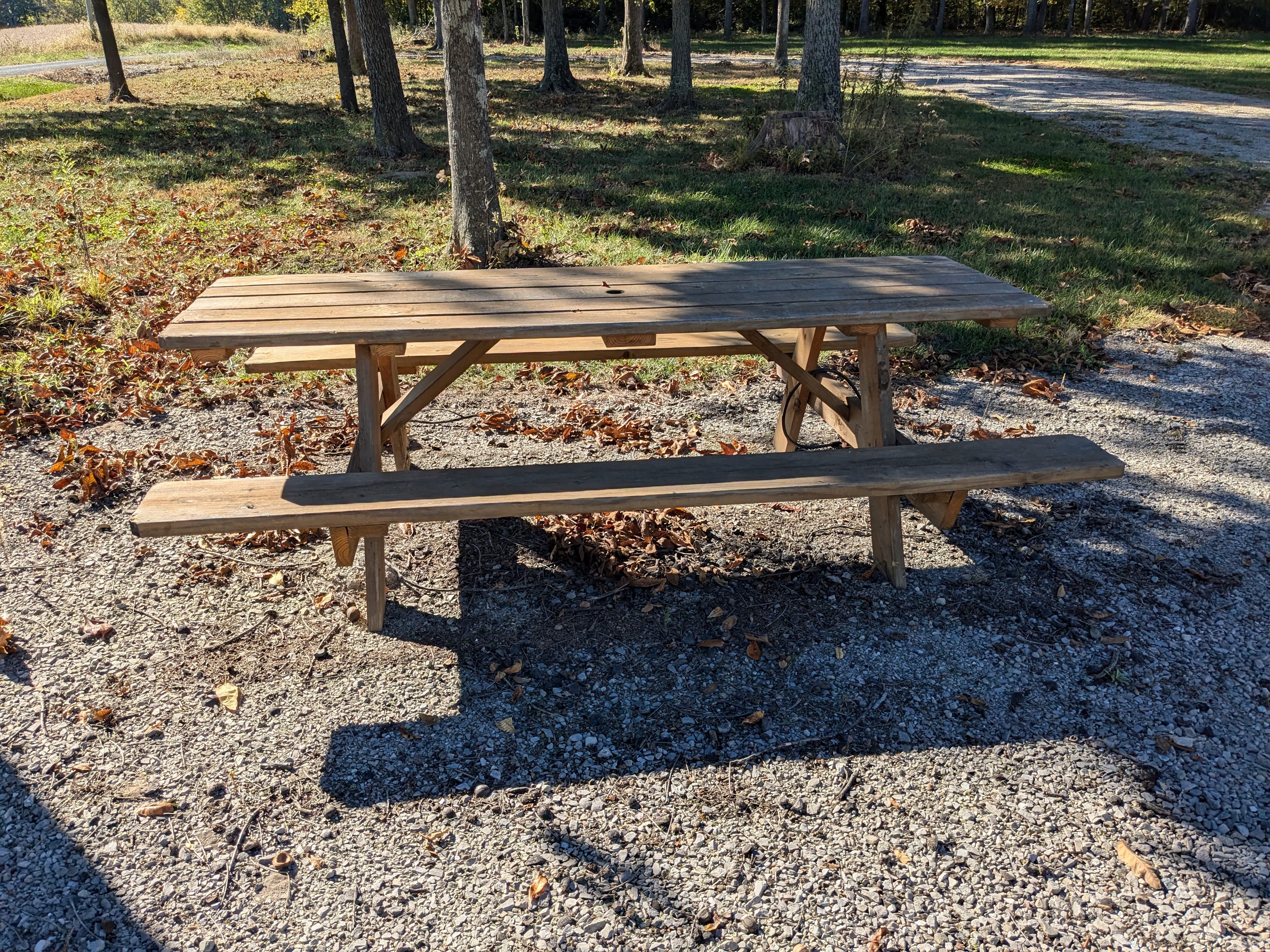 Glamp Games Forest Surround