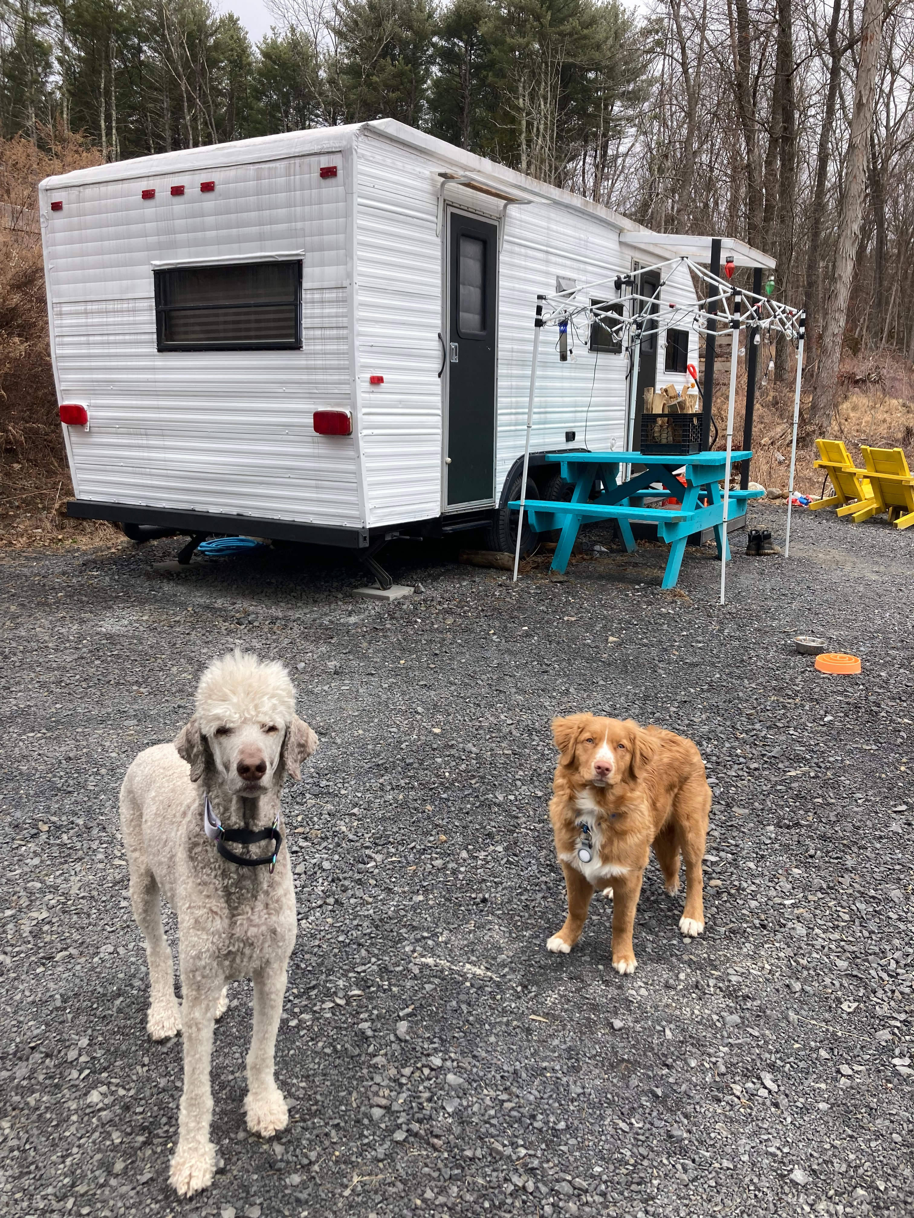 The Catskill And Chill