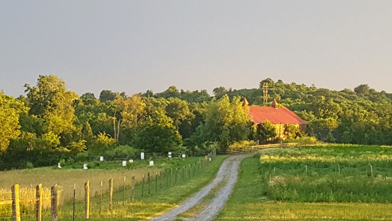 Here is what I see in the morning around here.