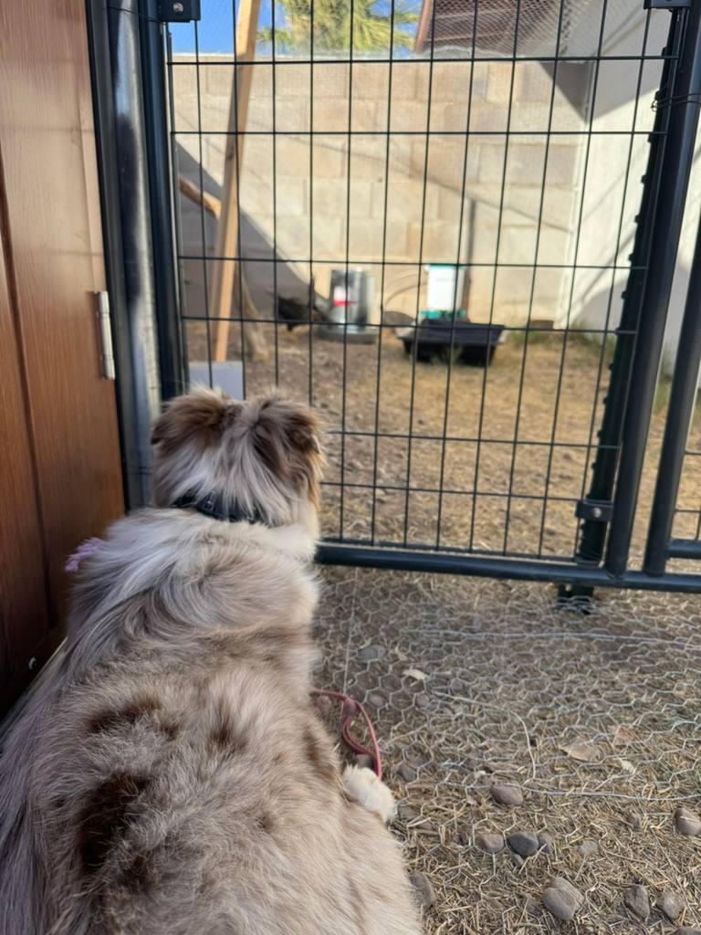 Rancho relaxo near skydiving