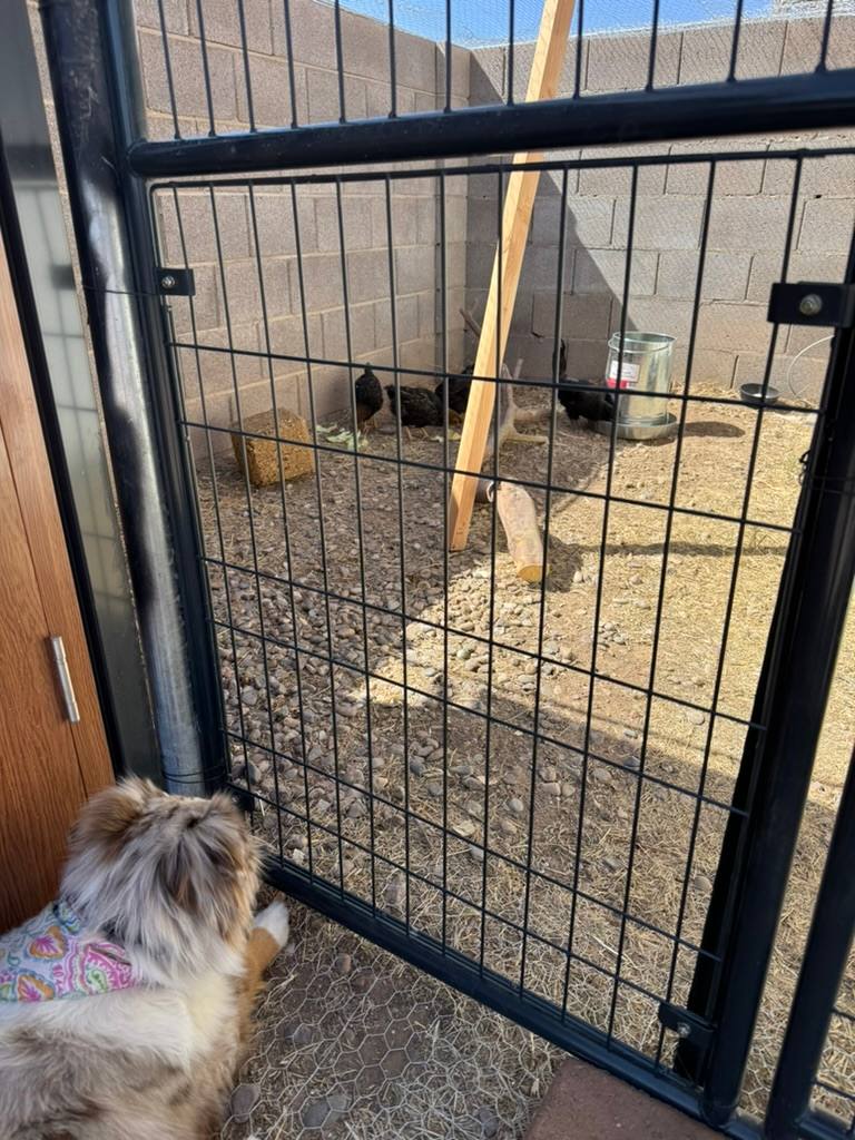 Rancho relaxo near skydiving