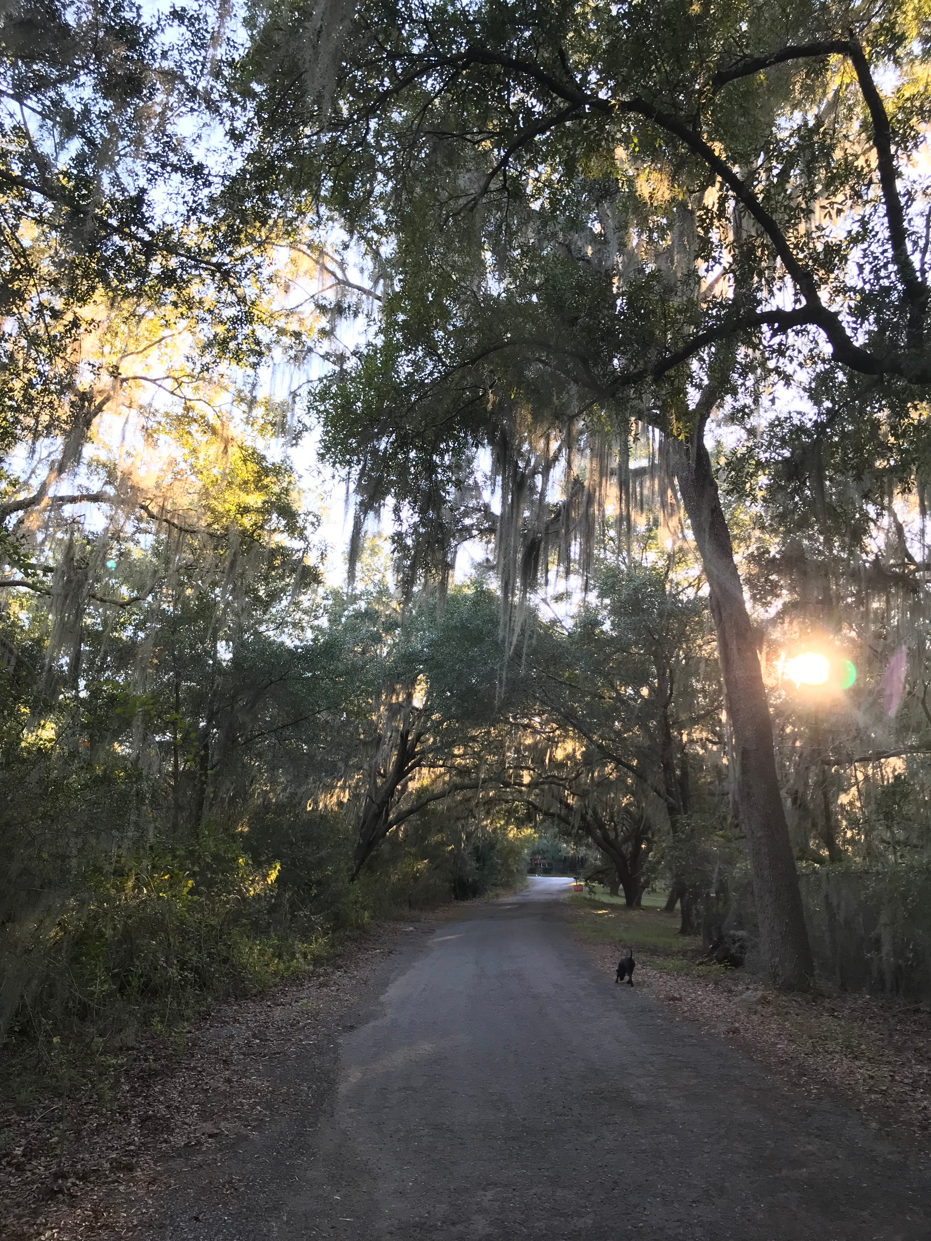 Lucas-Hicks Nature Retreat