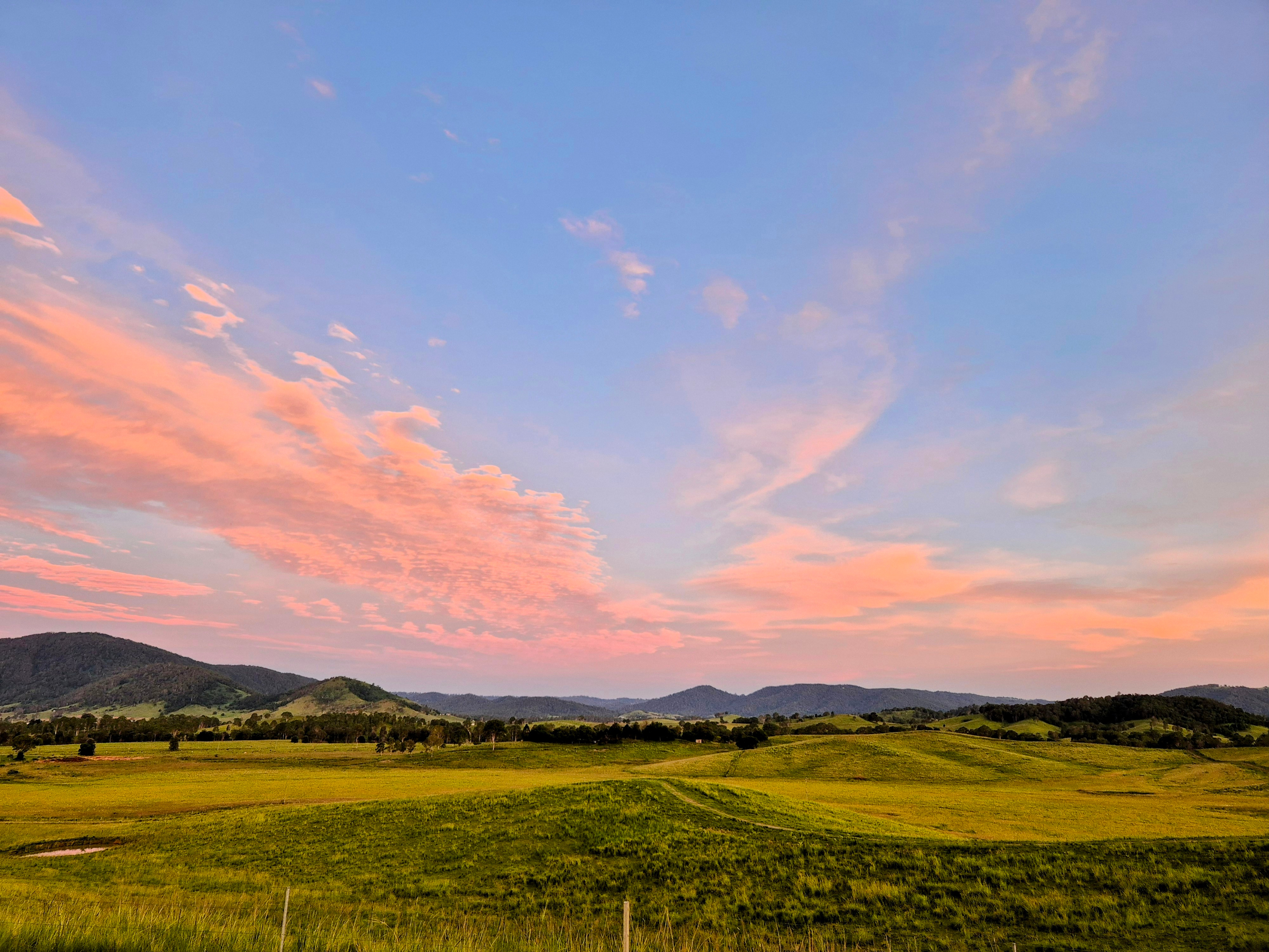 100 Acre Estate