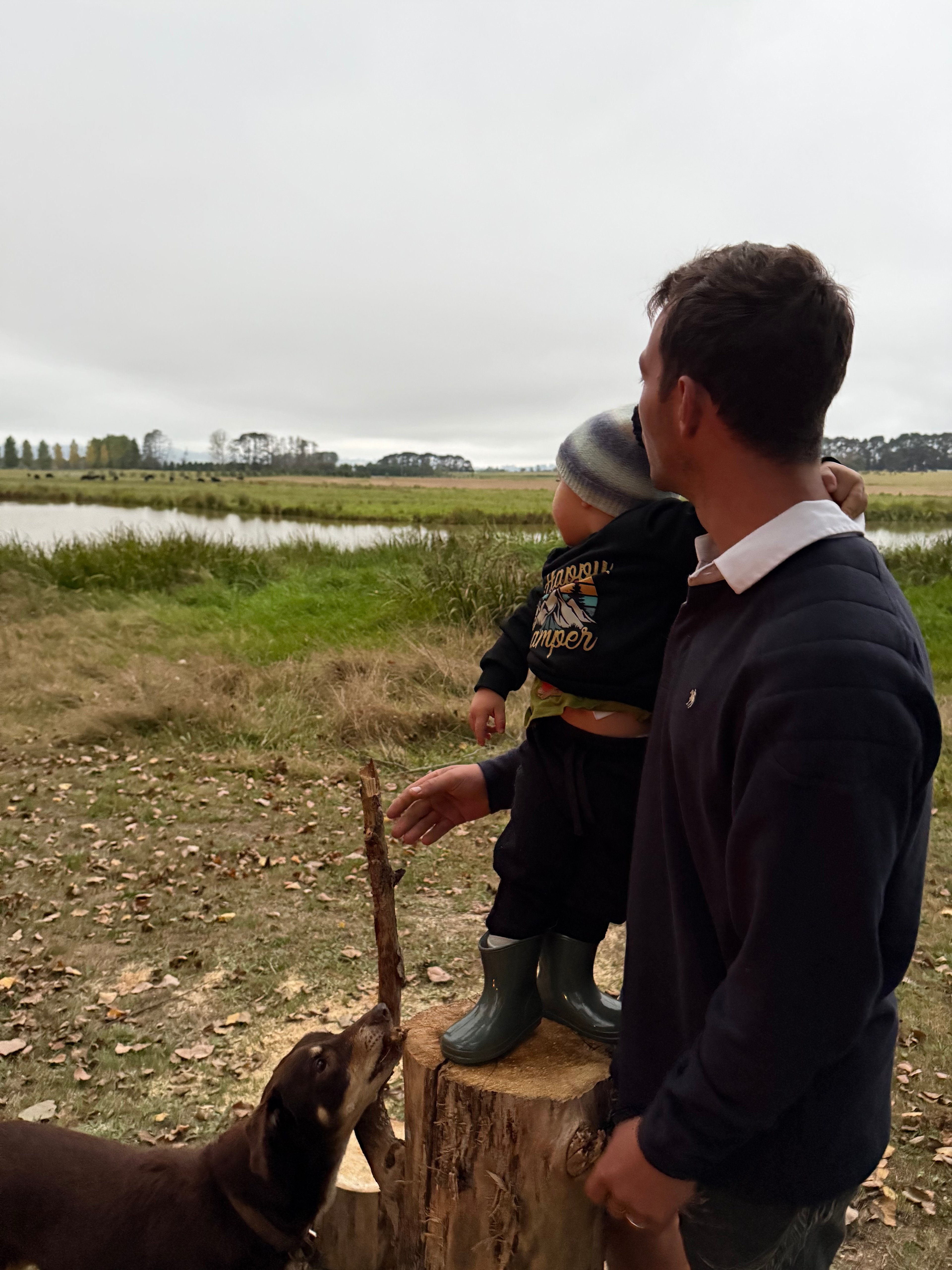 Wings of the Carribee