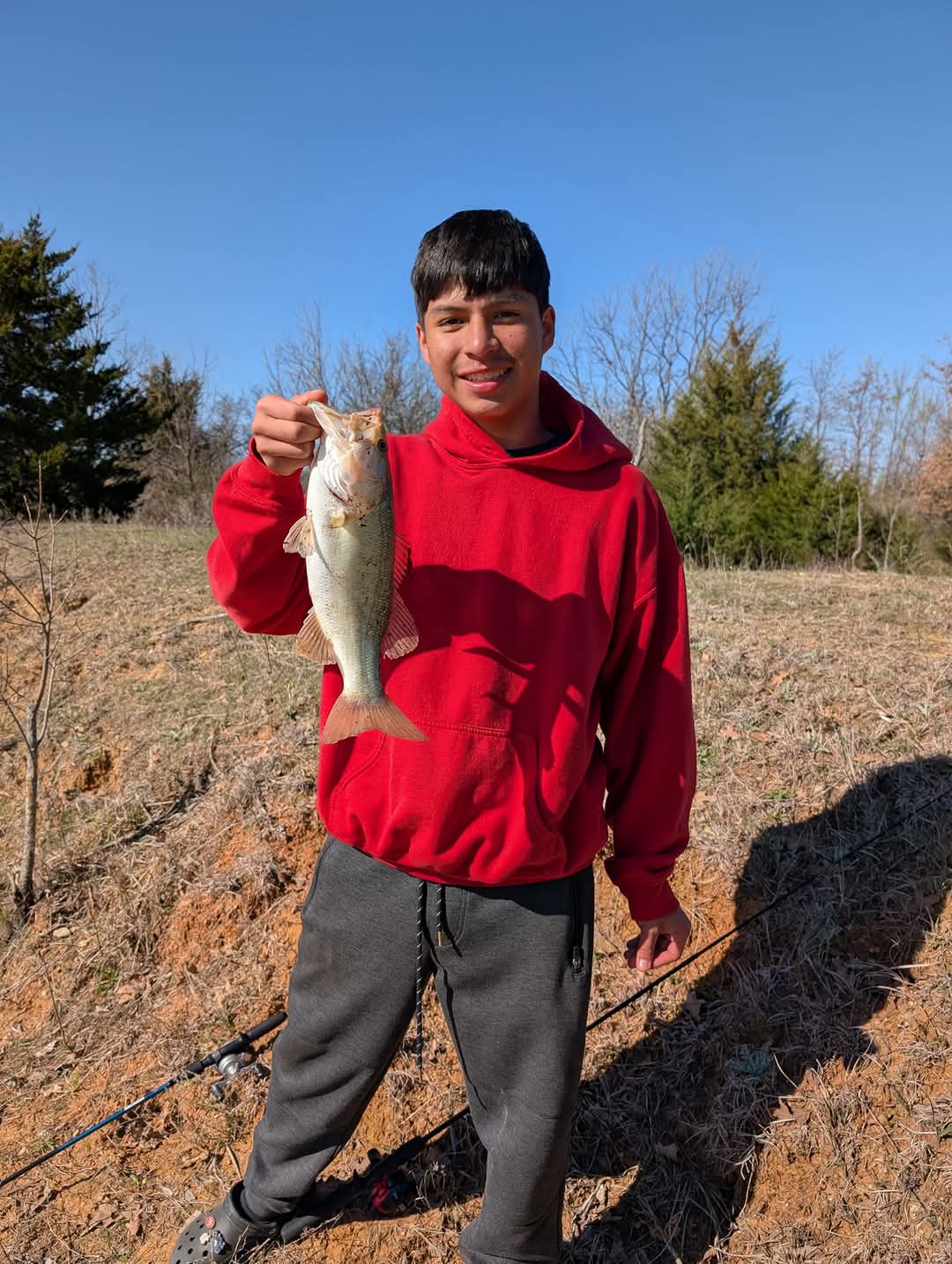 Chivalry Friesians Ranch