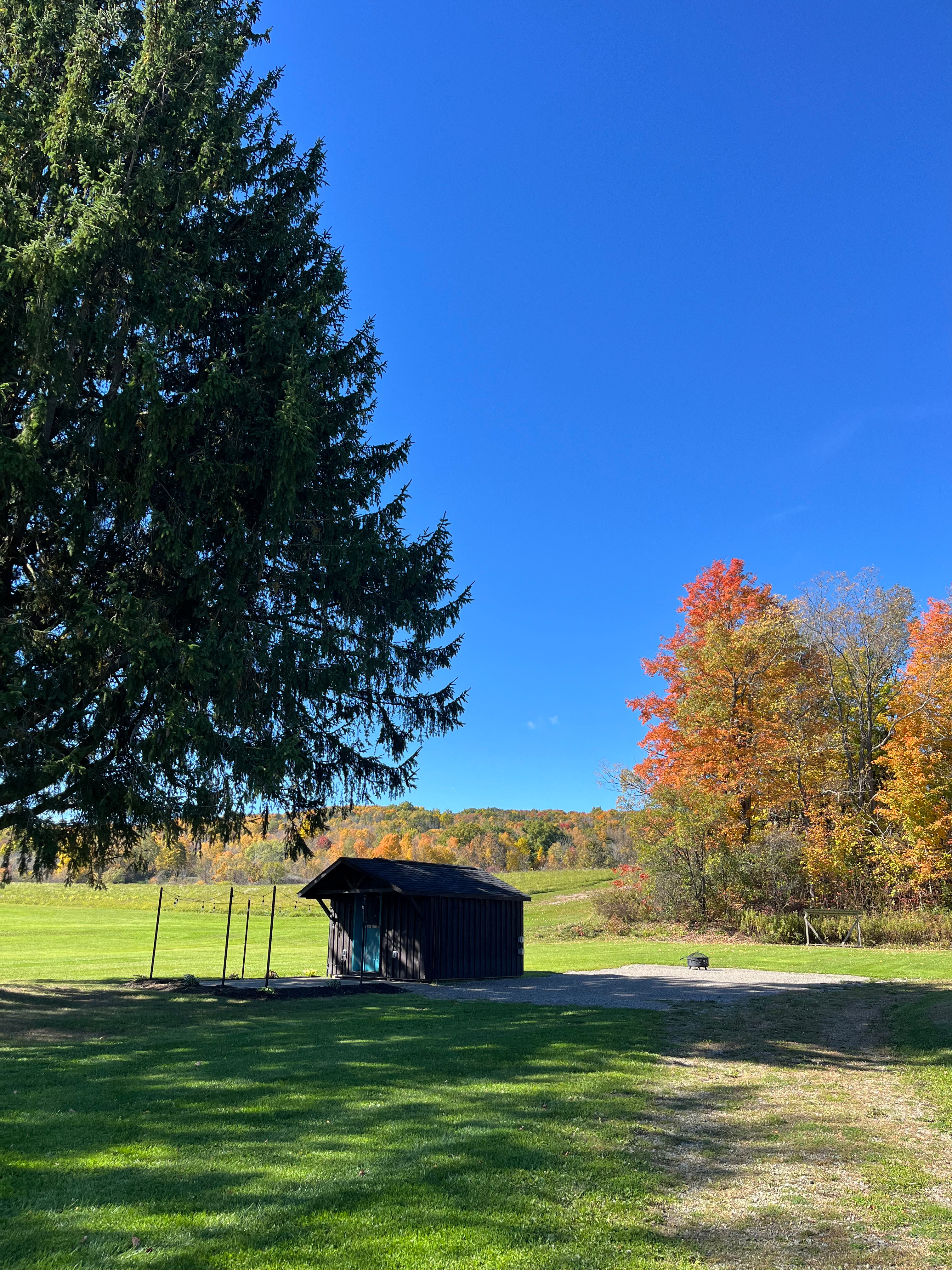 Sage Hollow