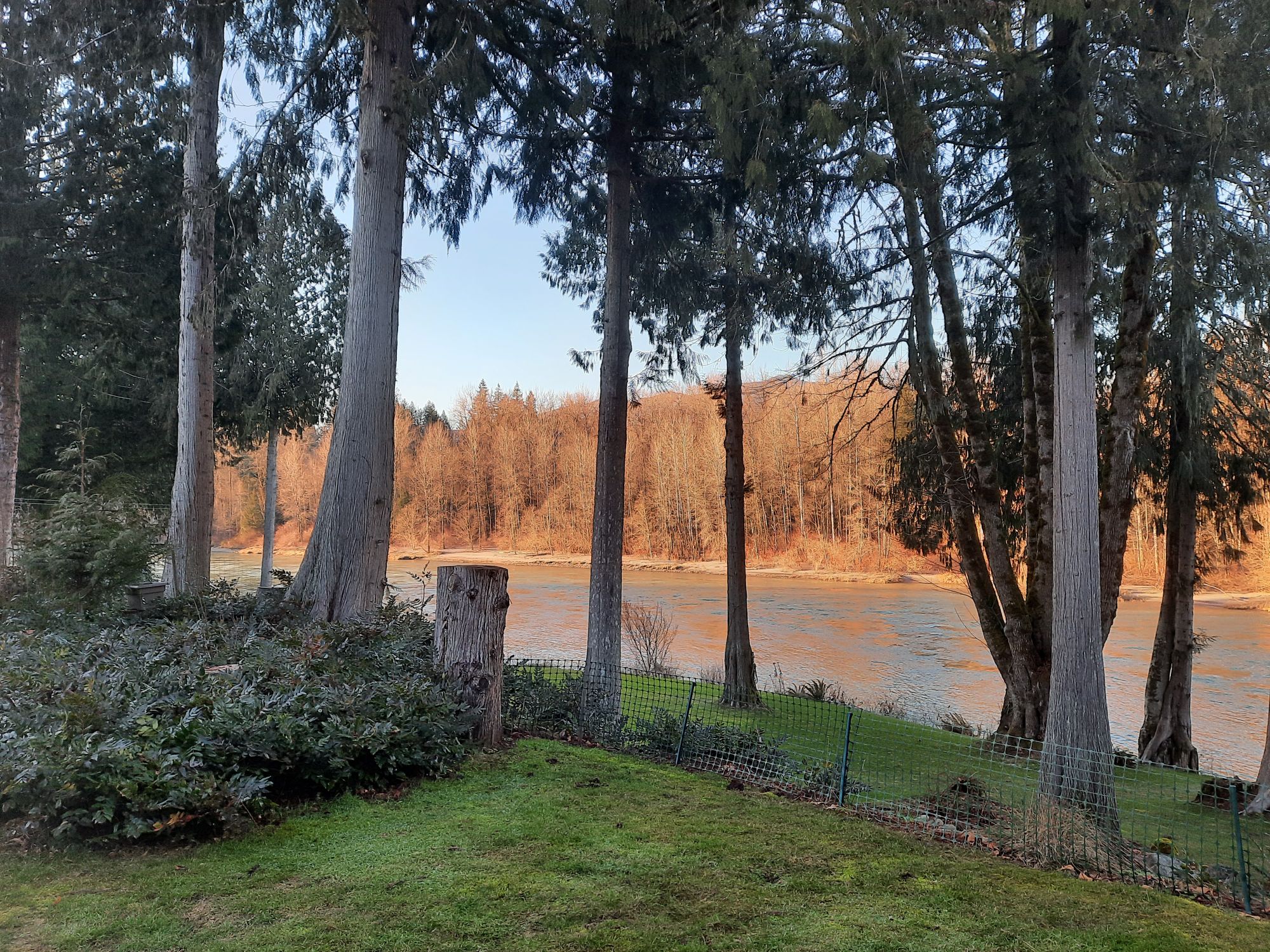 Serenity On The Skagit