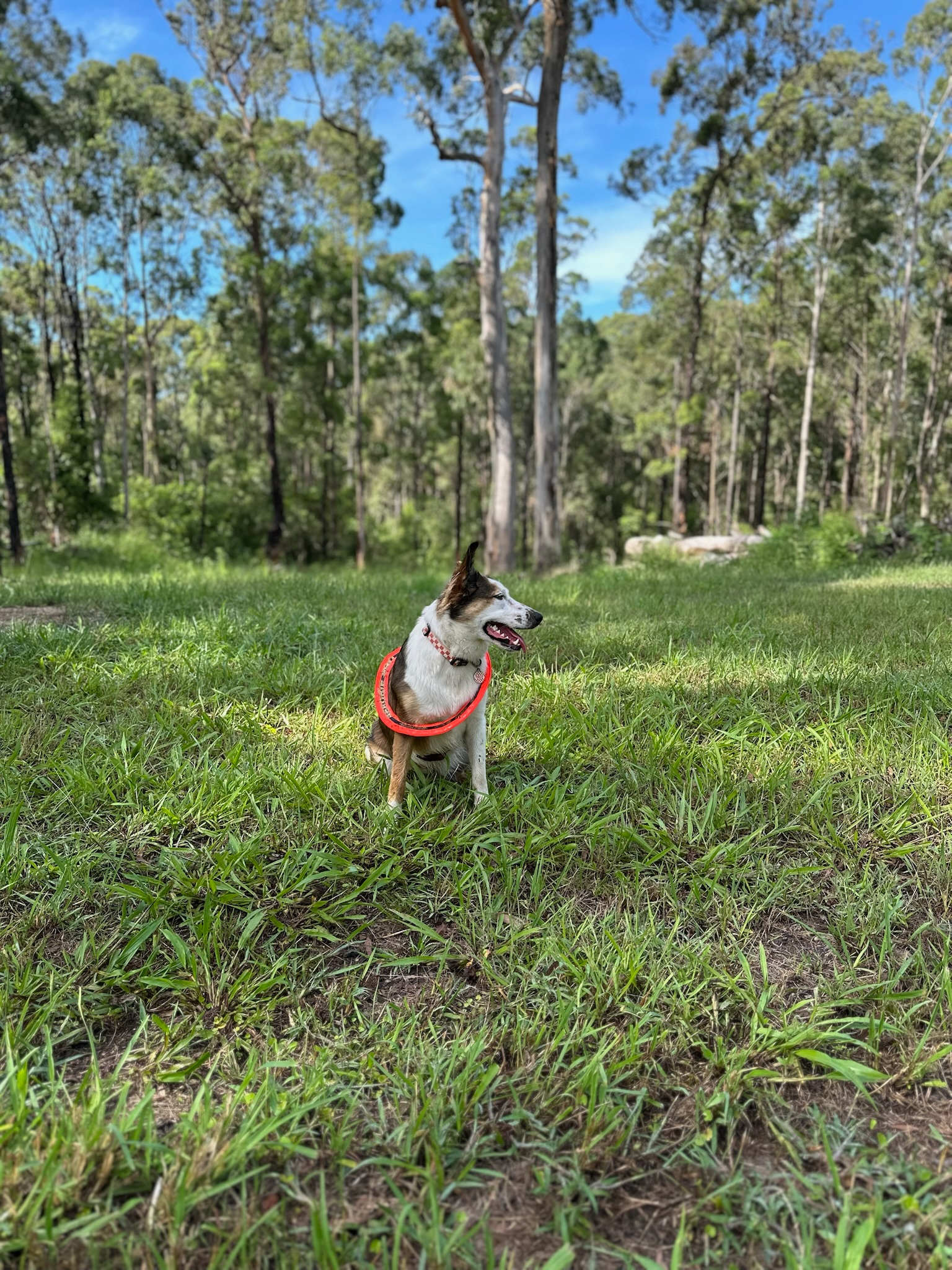 Herring Estate - Panoramic Views
