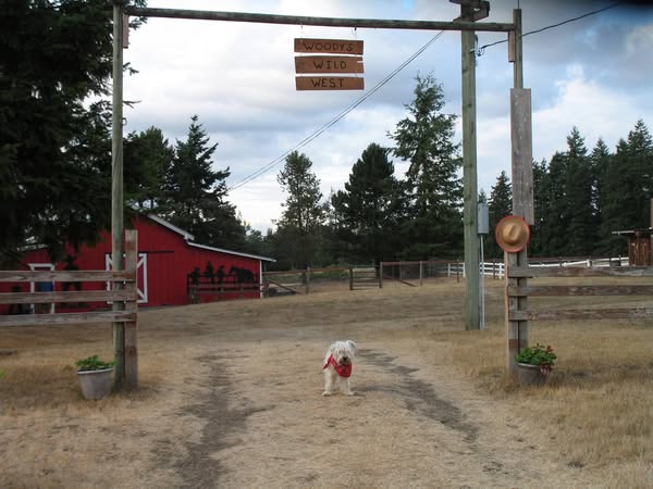 Wild West Town @ CPNW