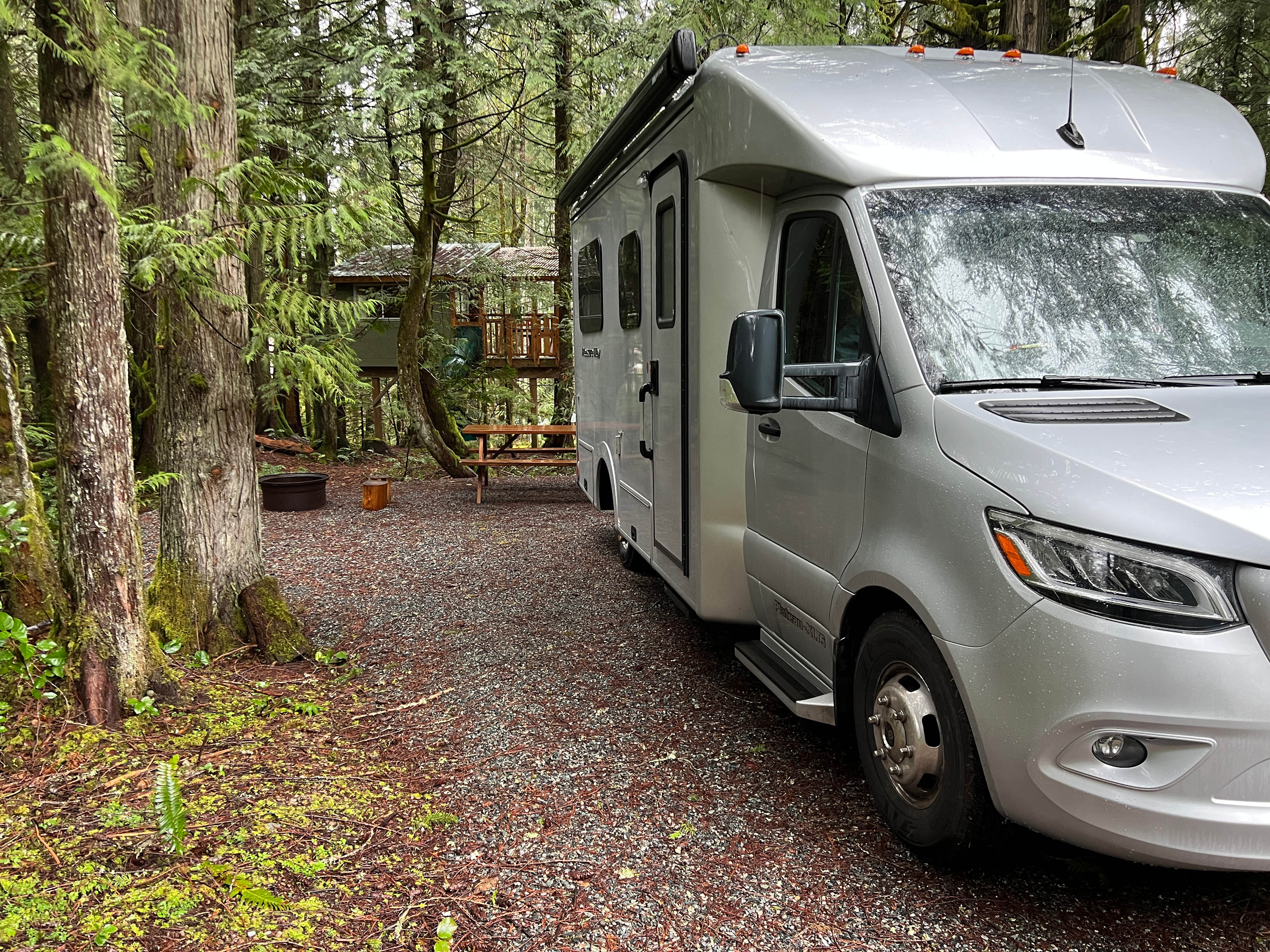 Nestled in amongst the trees