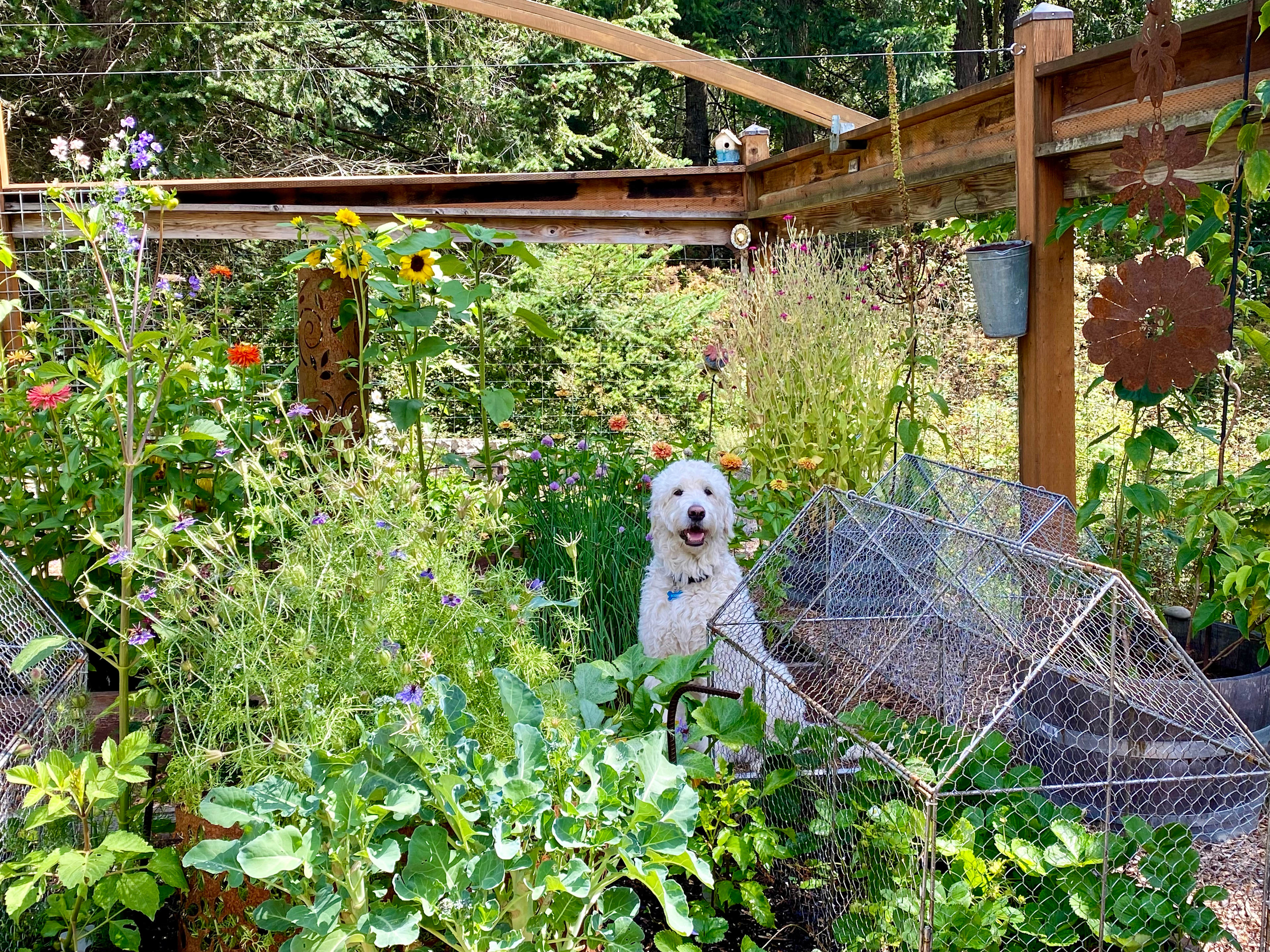 Cormorant Bay Getaway Stay