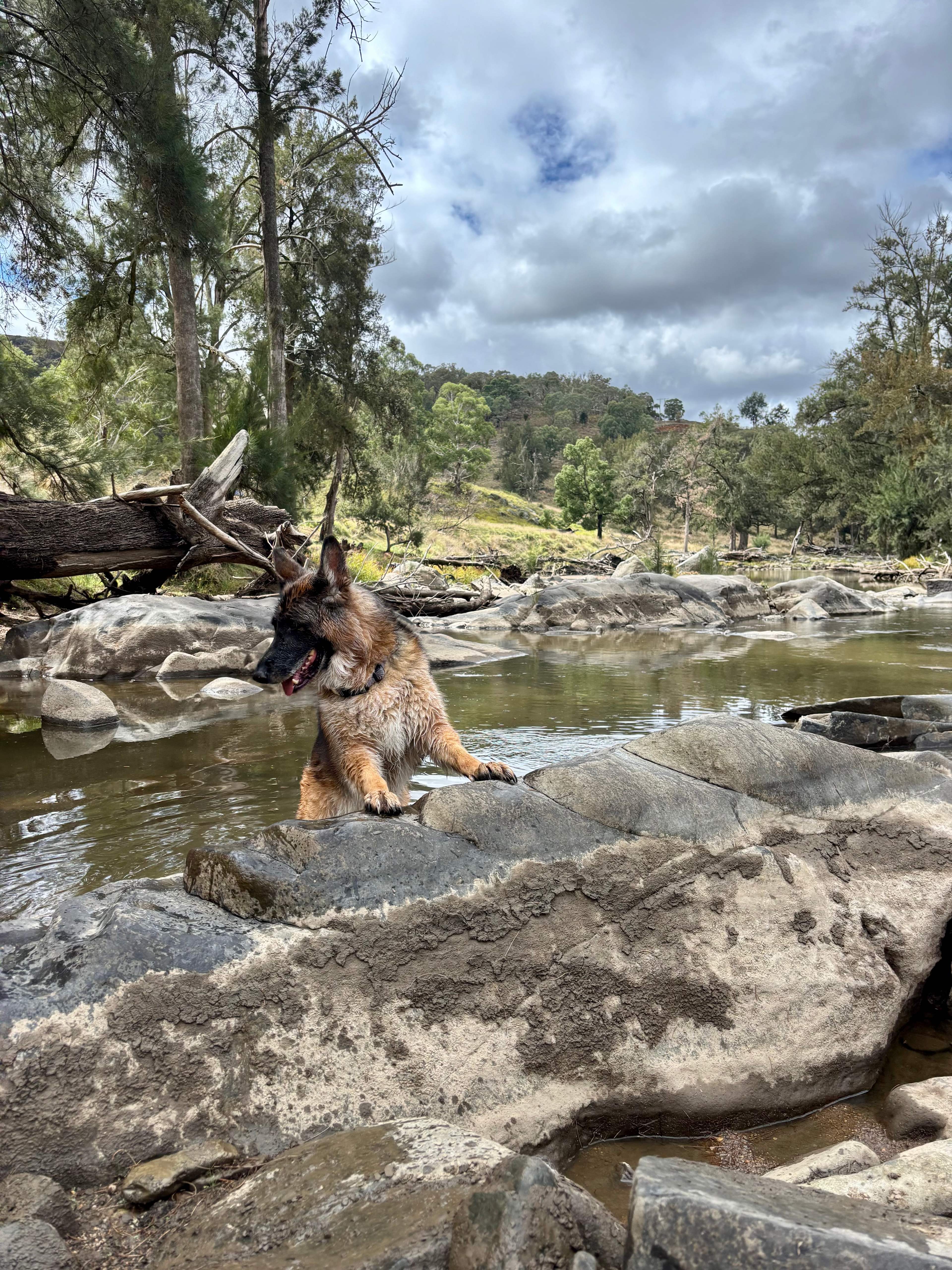 On the Stone River Retreat