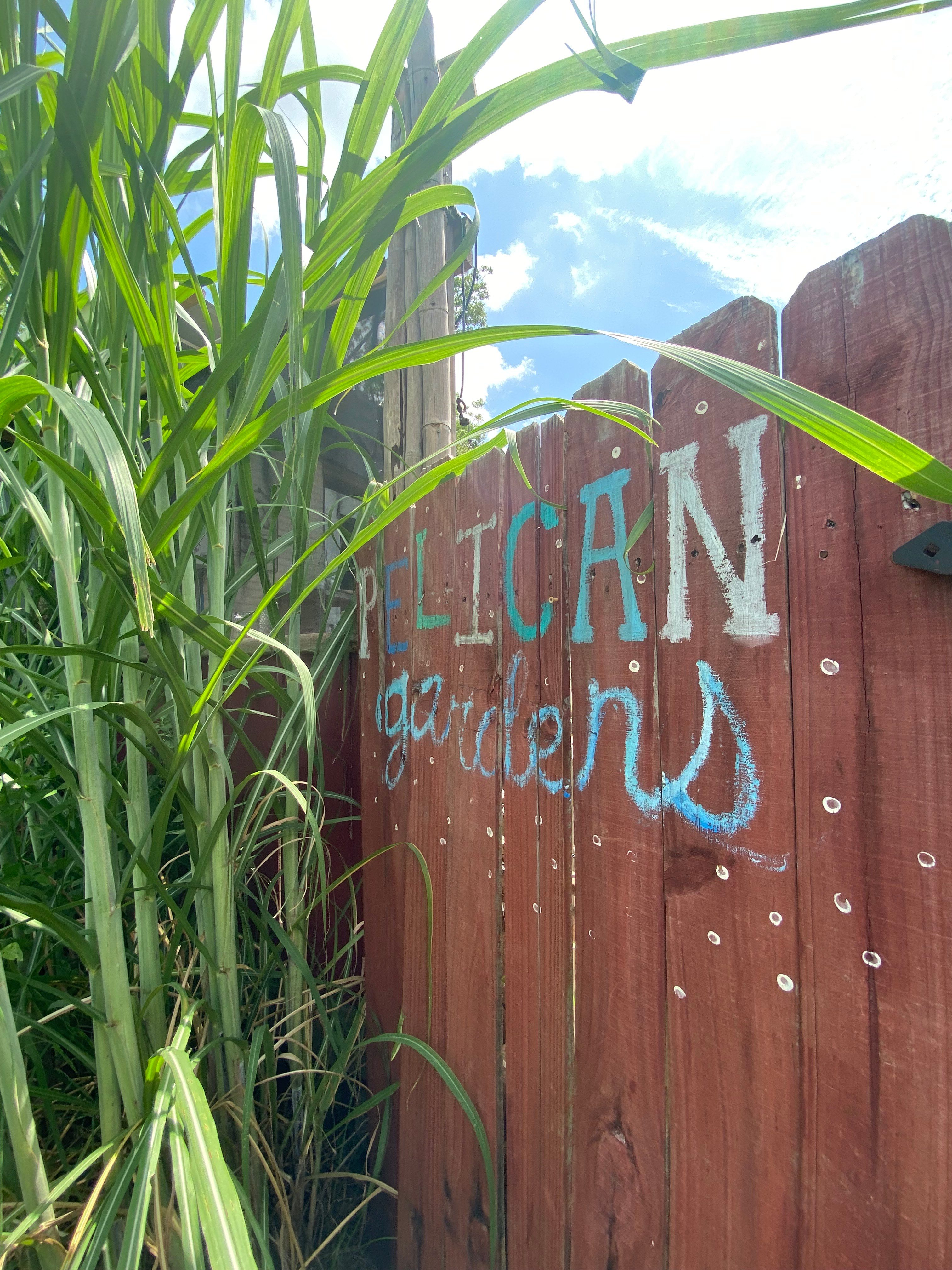 Pelican Gardens