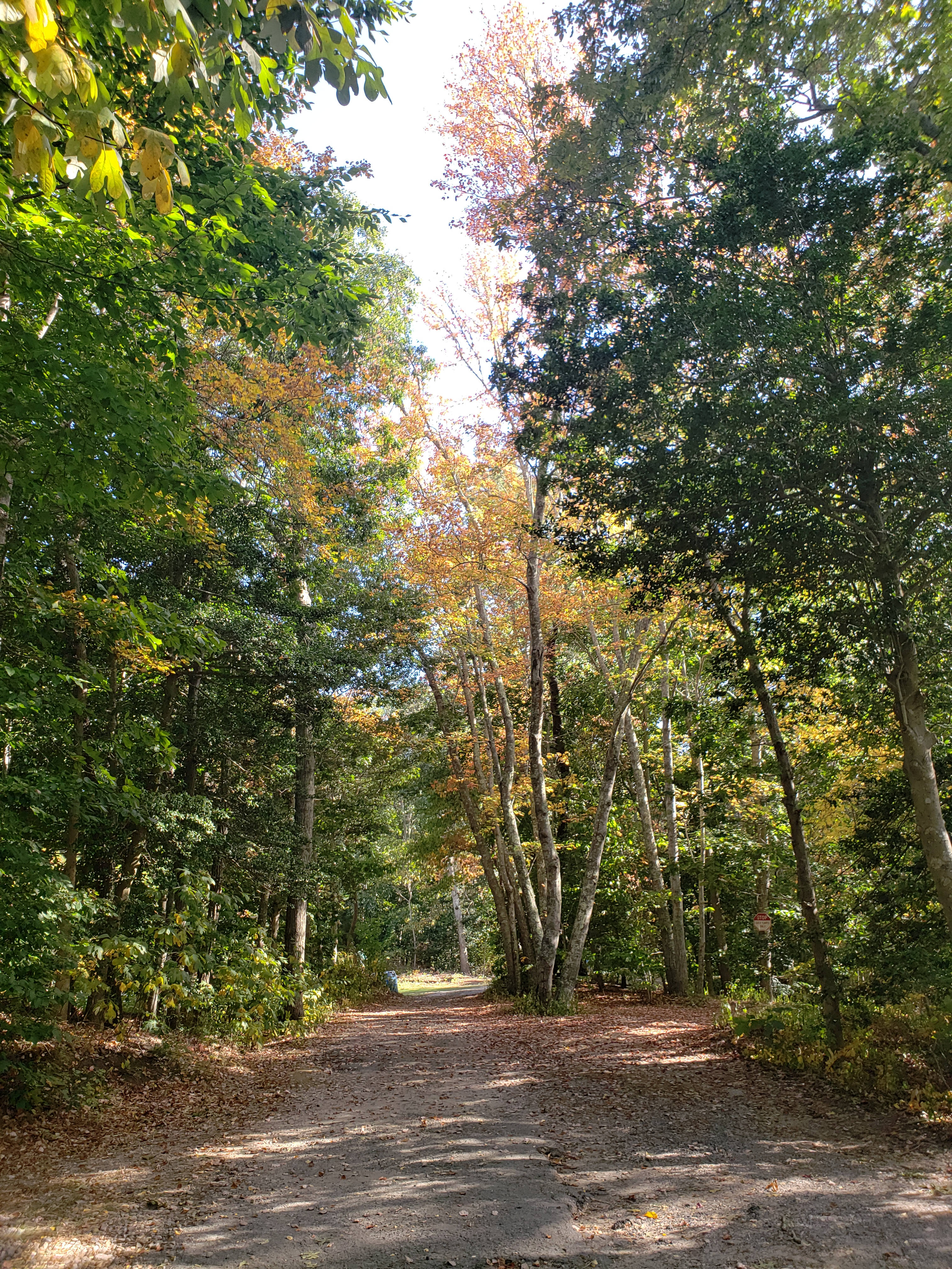 DunRoamin On Peters Pond