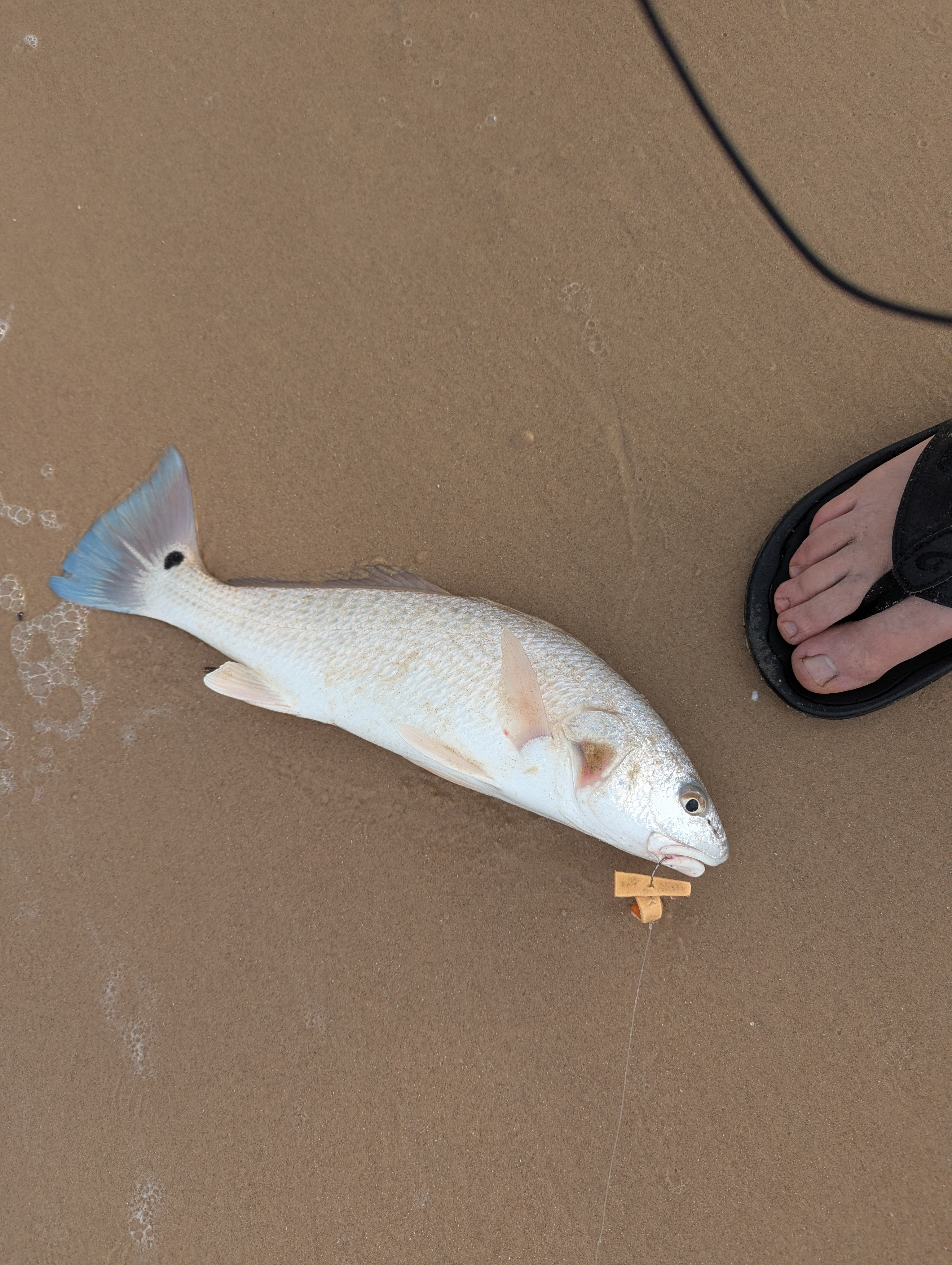 Private Gulf Front RV Site