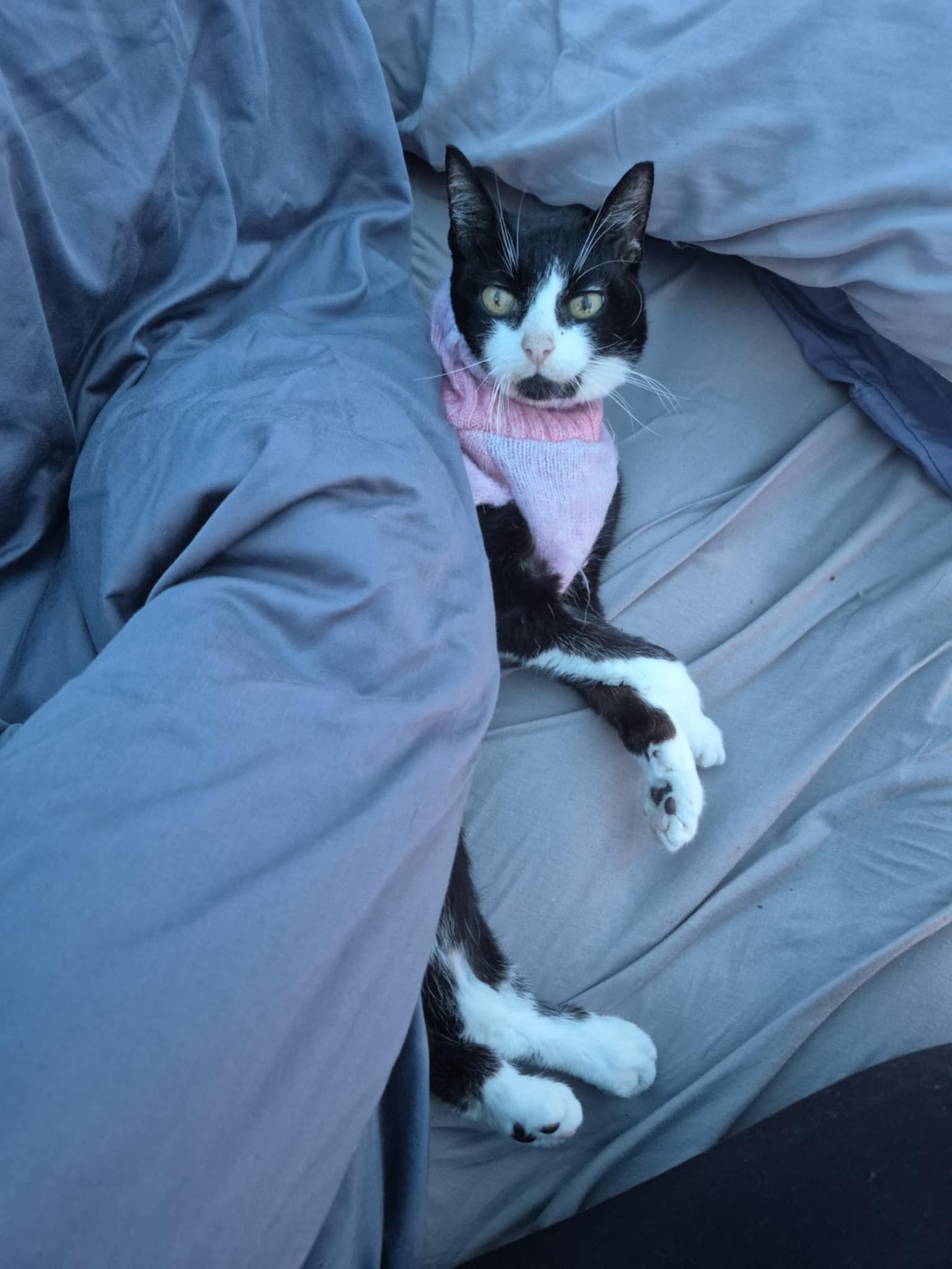 Chilly morning lie-in.