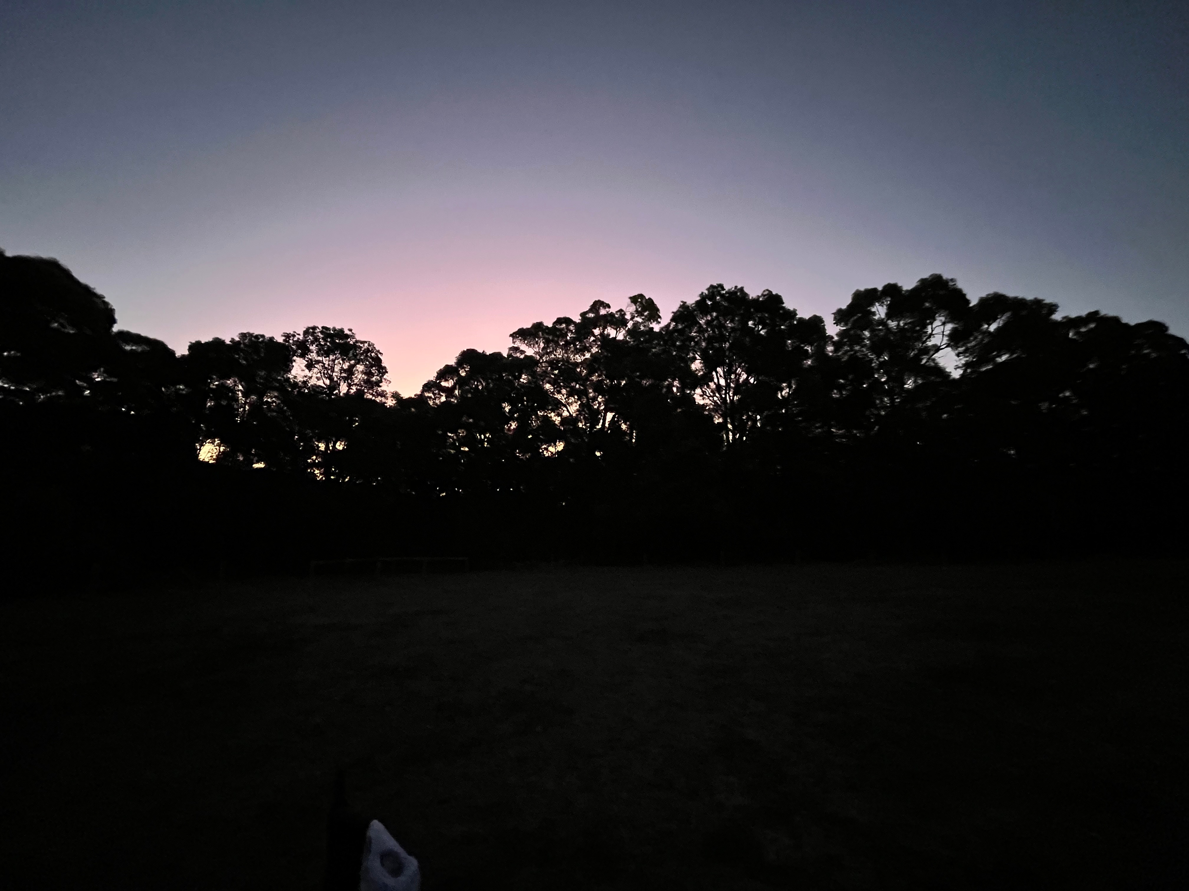 Sunset at The Paddock.