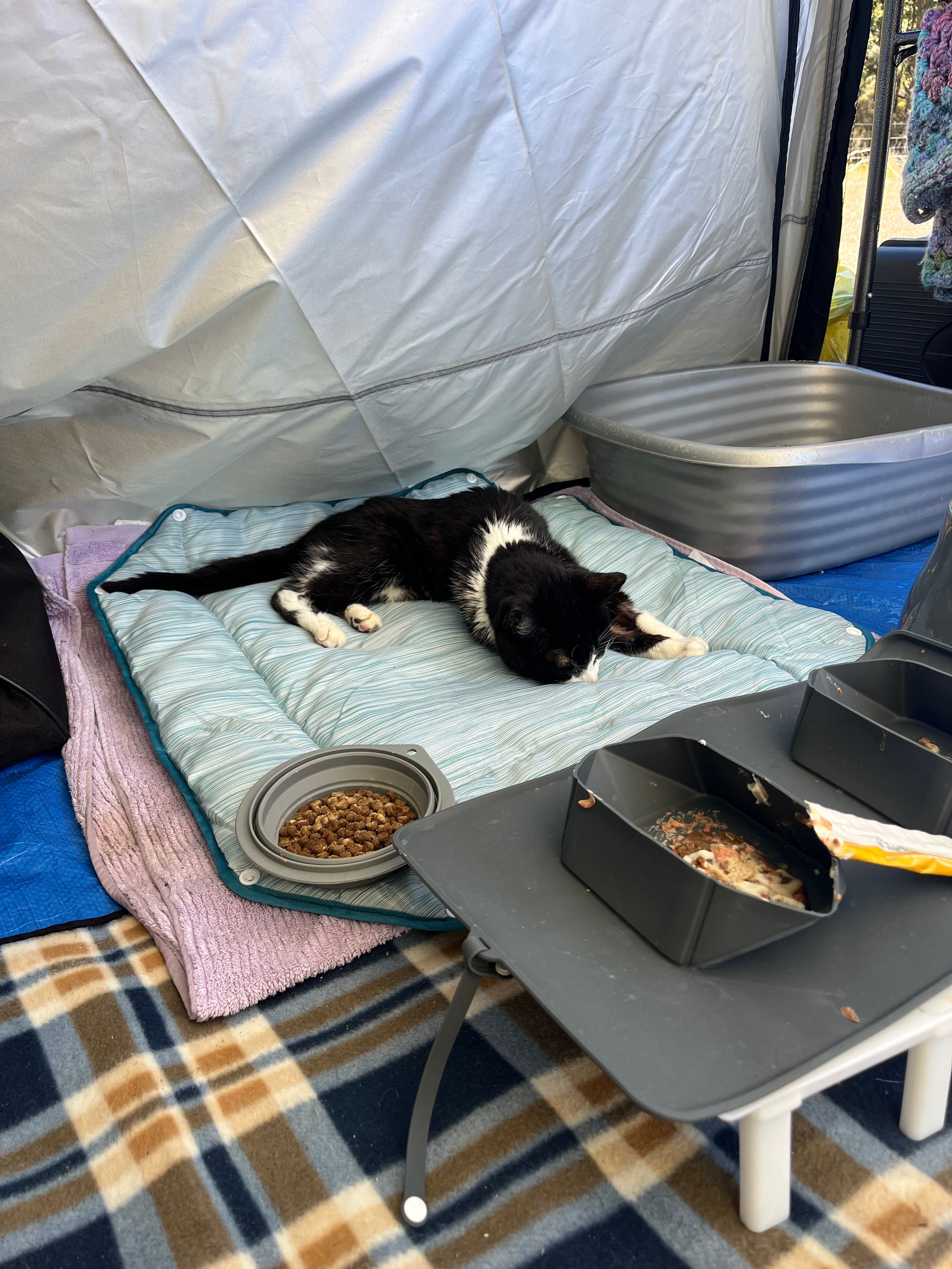 We got around the late March heat with lots of our own shade and actively cooling ourselves.