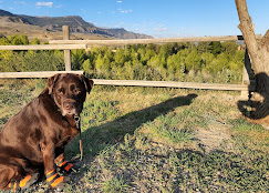 Yellowstone Valley Inn & RV Park