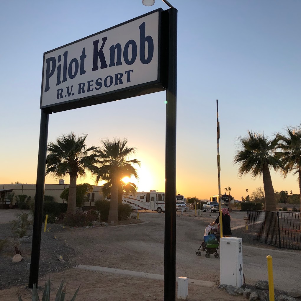 Encore Pilot Knob