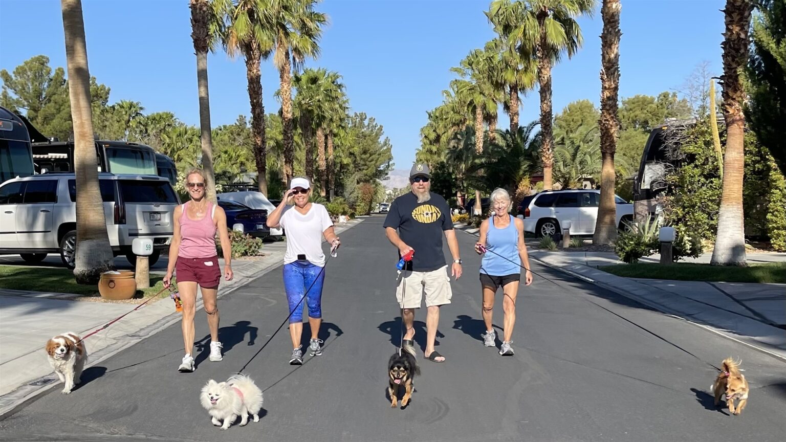 Las Vegas Motorcoach Resort