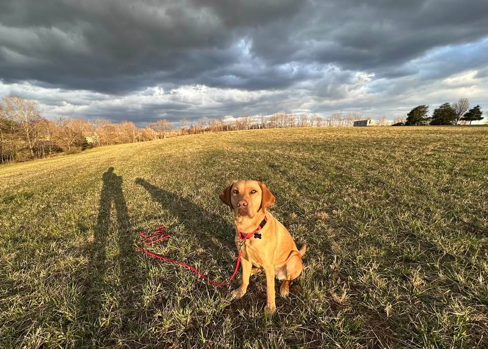 Plenty of land for a good walk